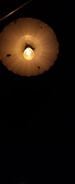 A dimly lit overhead light bulb encased within a round, translucent lampshade is suspended against a dark background. The lampshade appears aged with visible spots and blemishes on its surface. The light bulb emits a warm, soft glow, casting subtle shadows.
