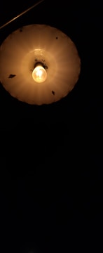 A dimly lit overhead light bulb encased within a round, translucent lampshade is suspended against a dark background. The lampshade appears aged with visible spots and blemishes on its surface. The light bulb emits a warm, soft glow, casting subtle shadows.