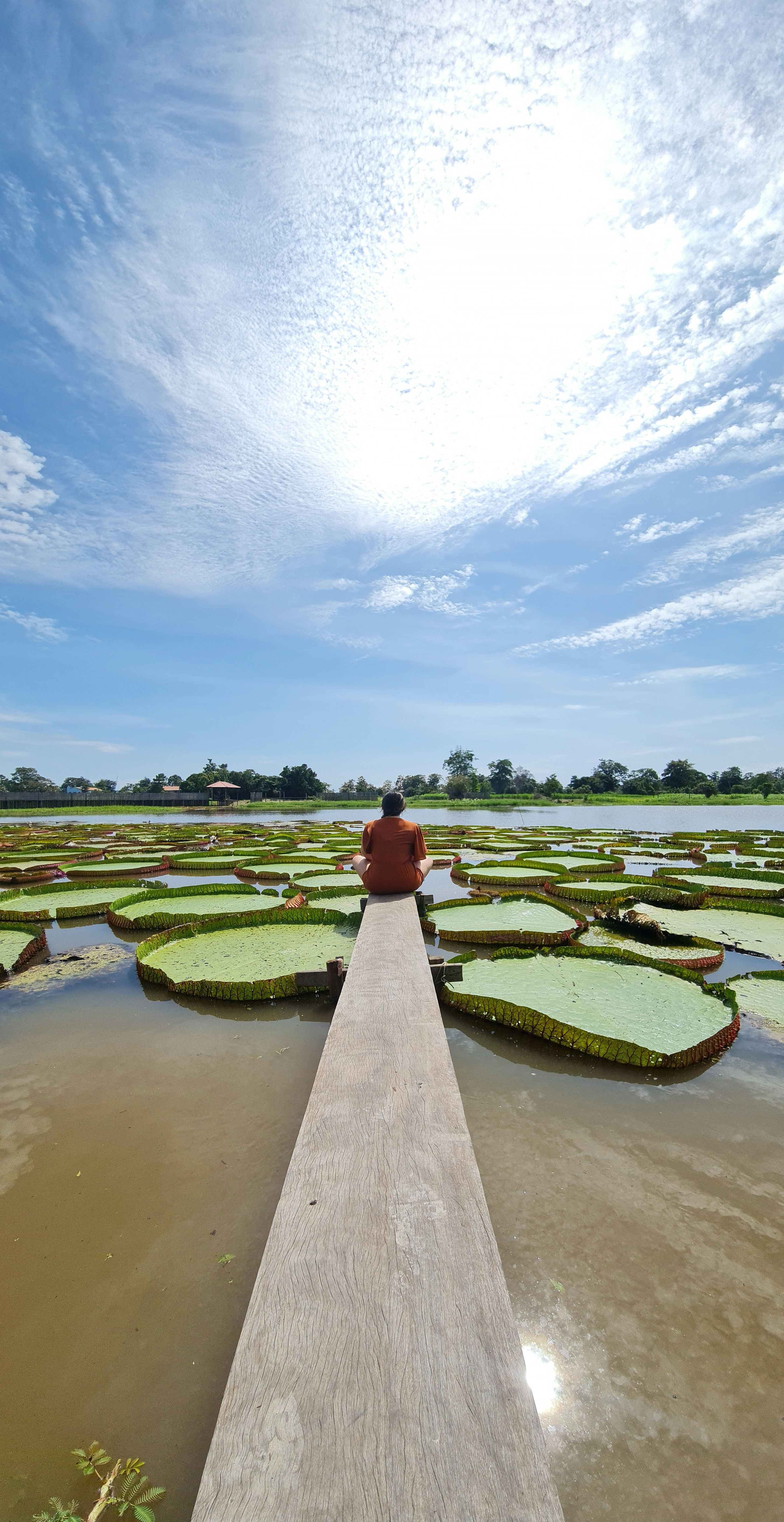 a person standing on a dock over a body of water