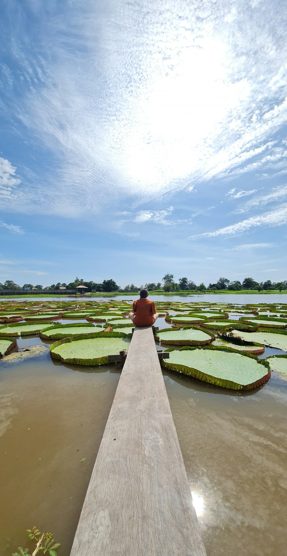 a person standing on a dock over a body of water