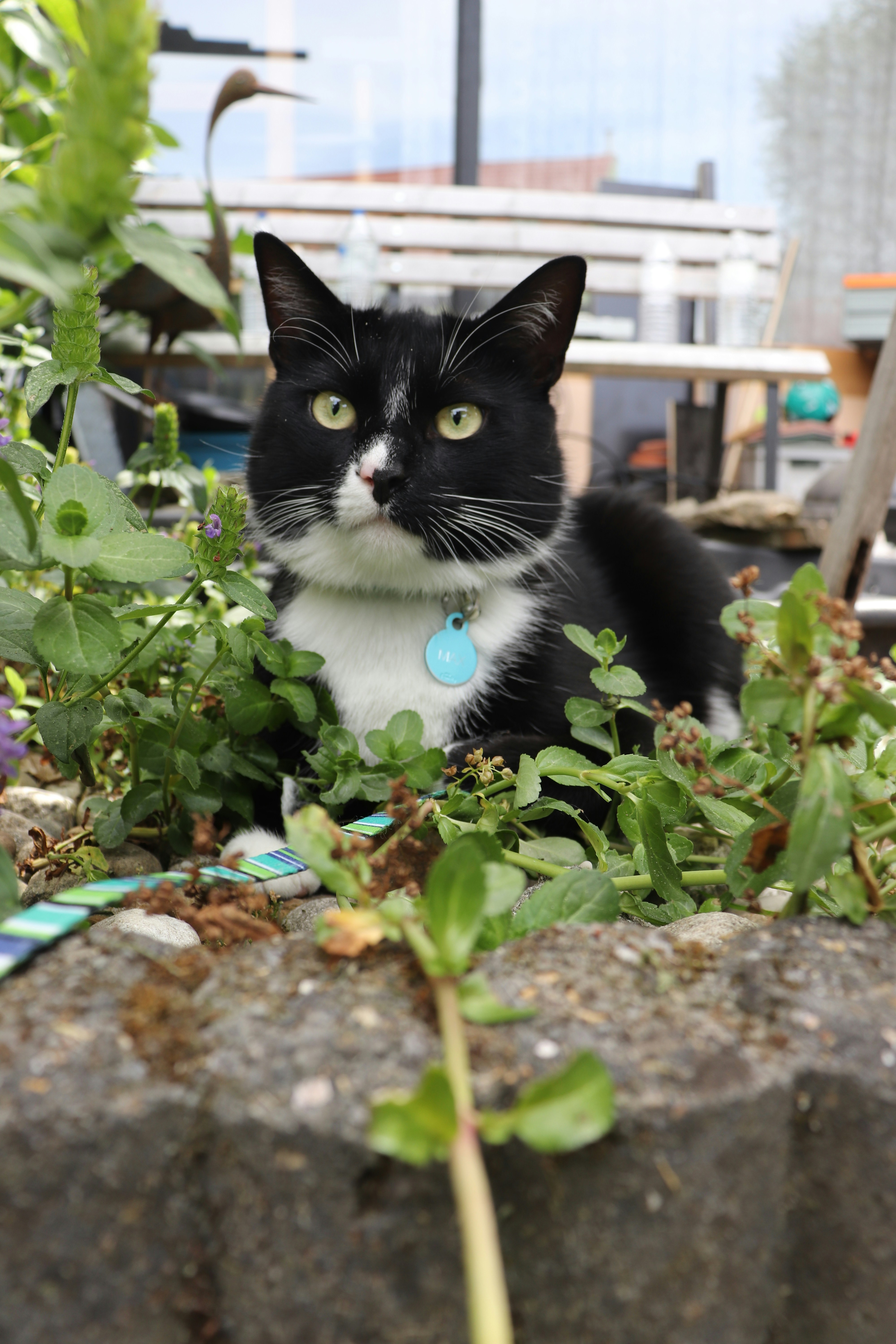 Photo by femkebeirens