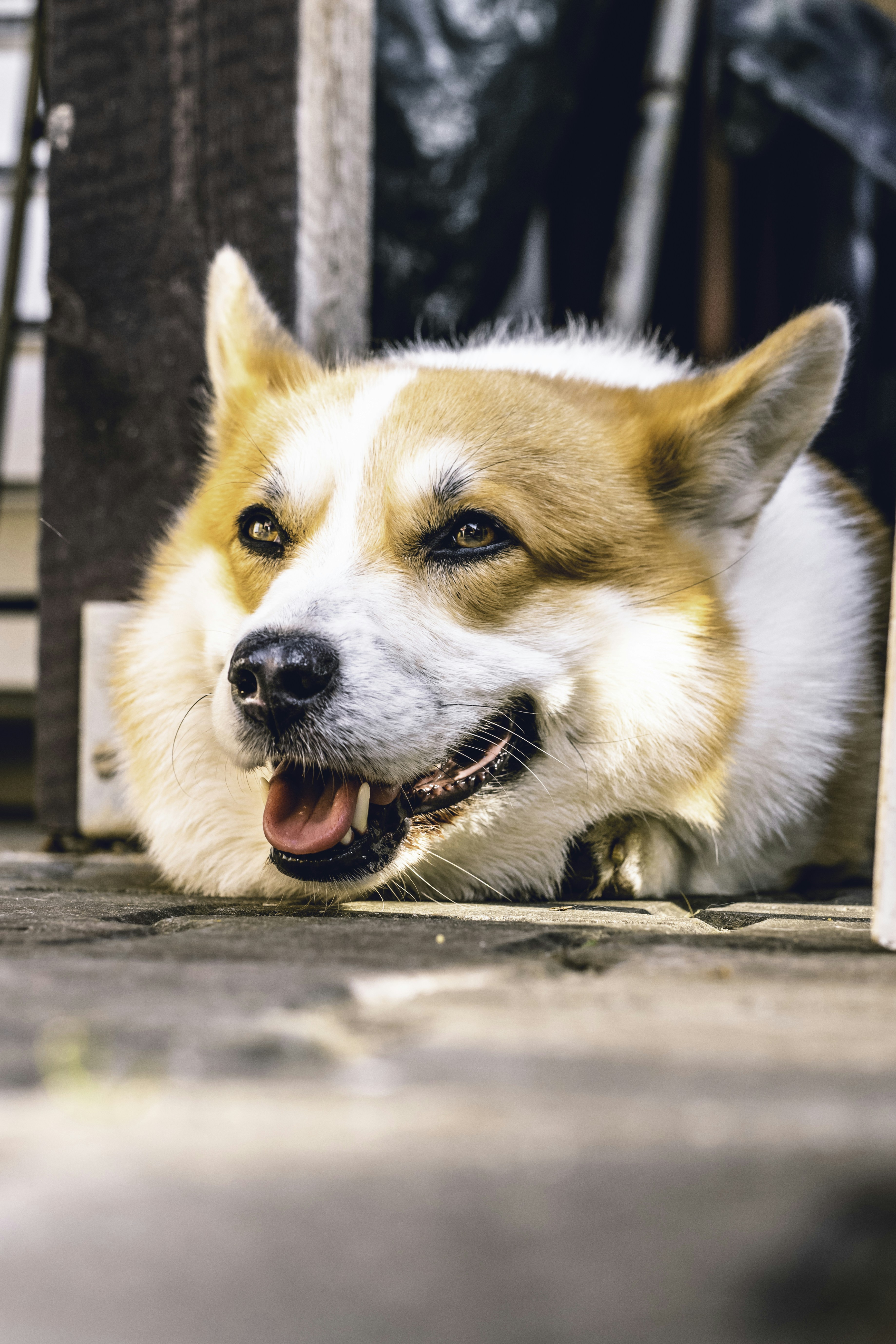 Photo by mikulecmichal