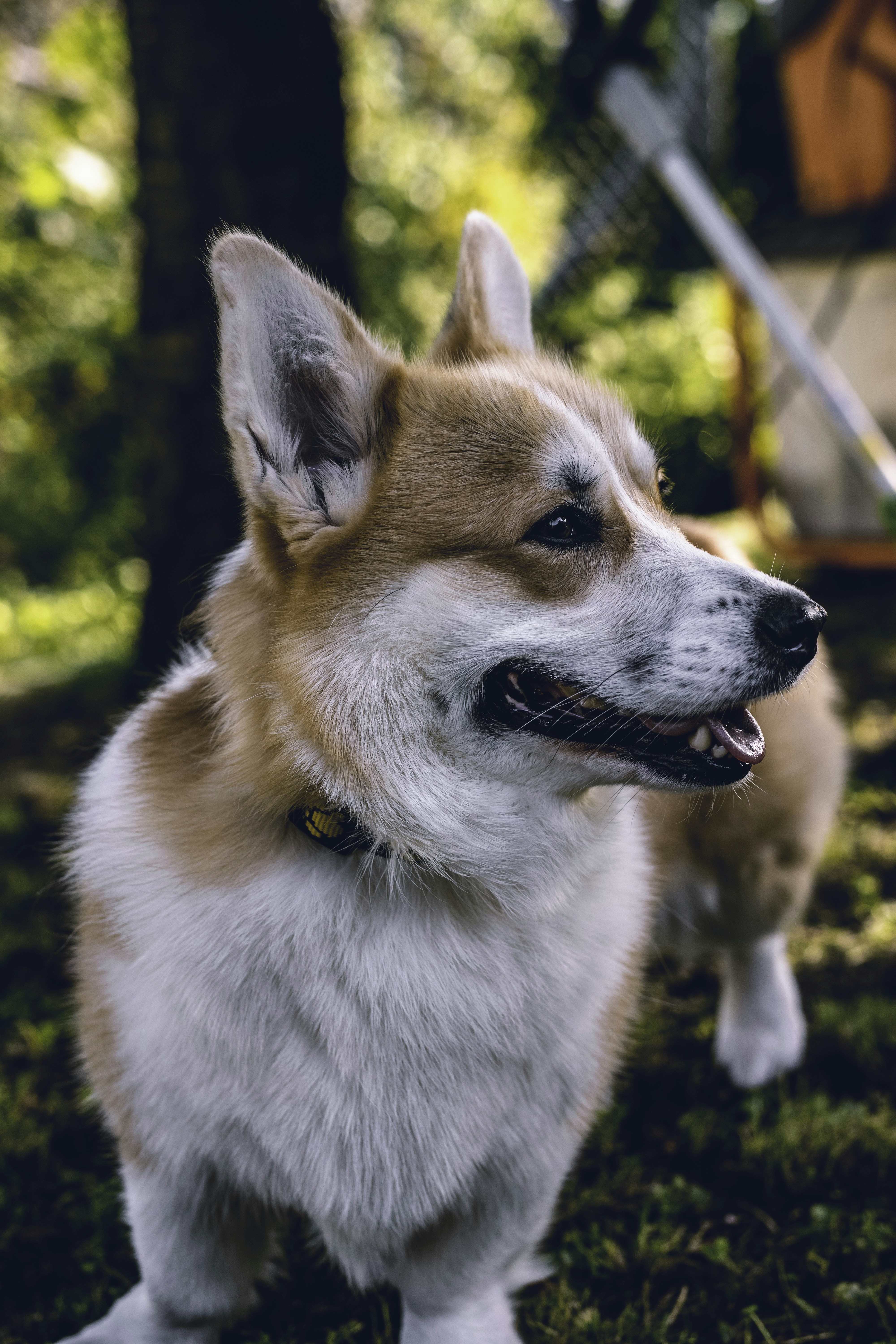 Photo by mikulecmichal