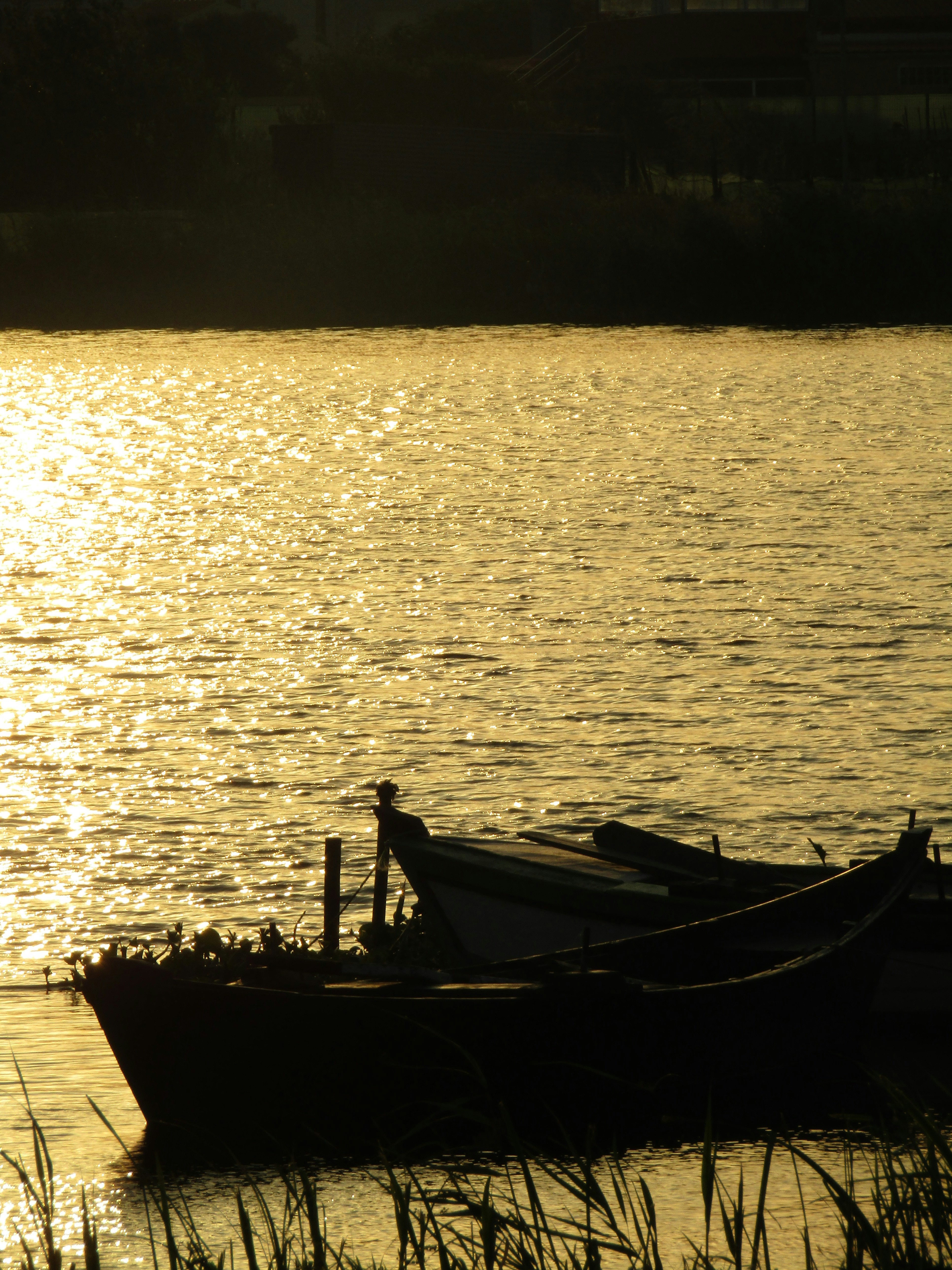 Photo by annashevchenko06s