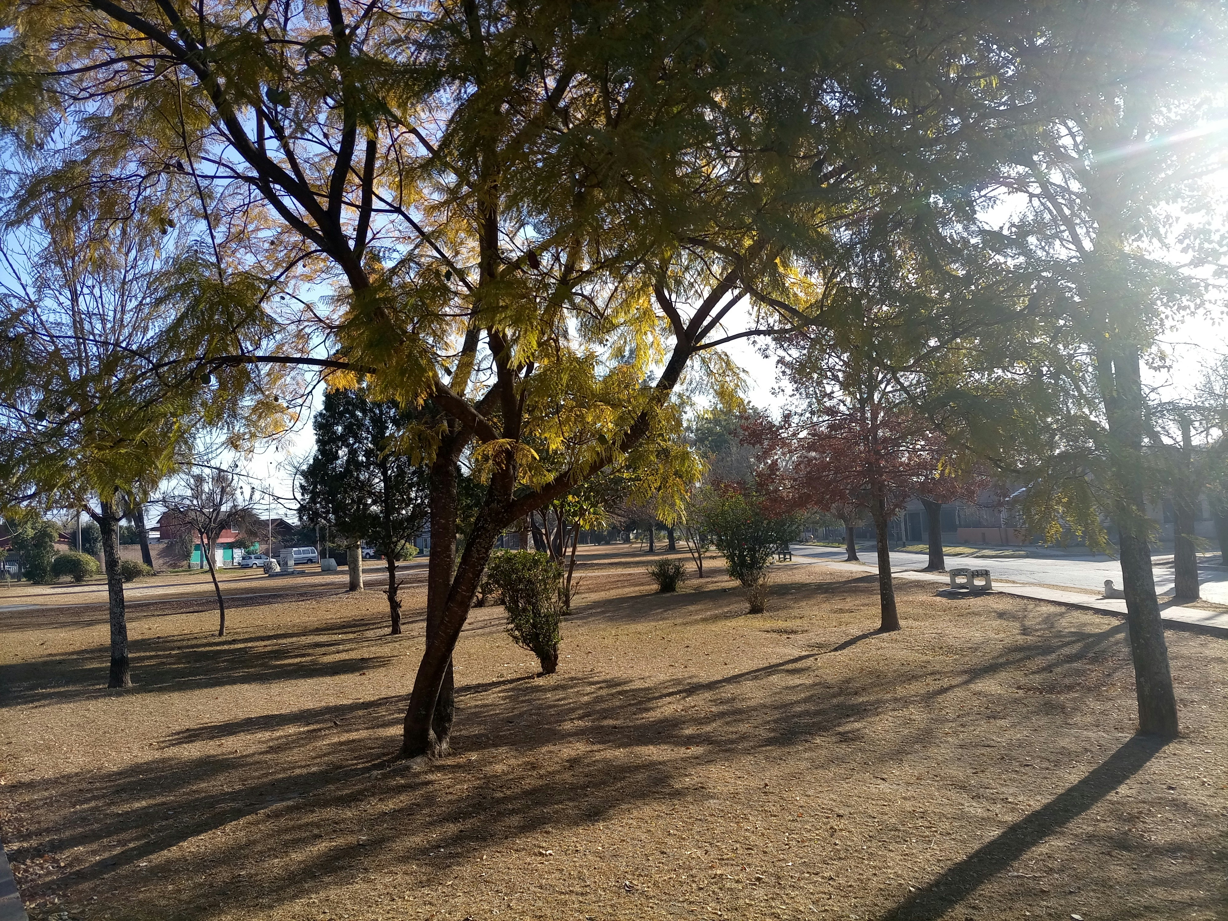 Photo by buitrehga23