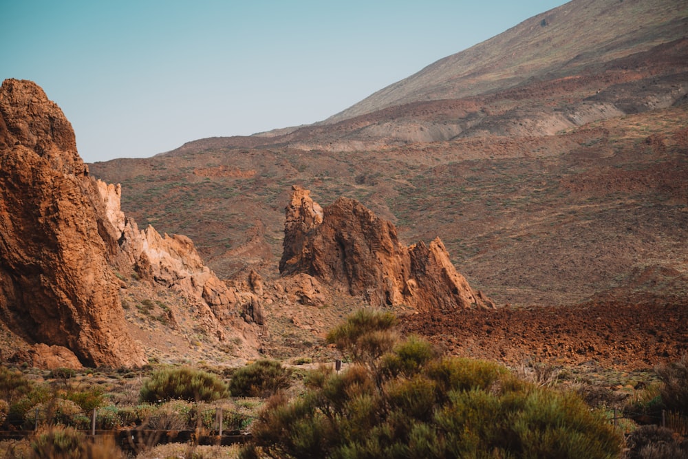 a rocky mountain with trees