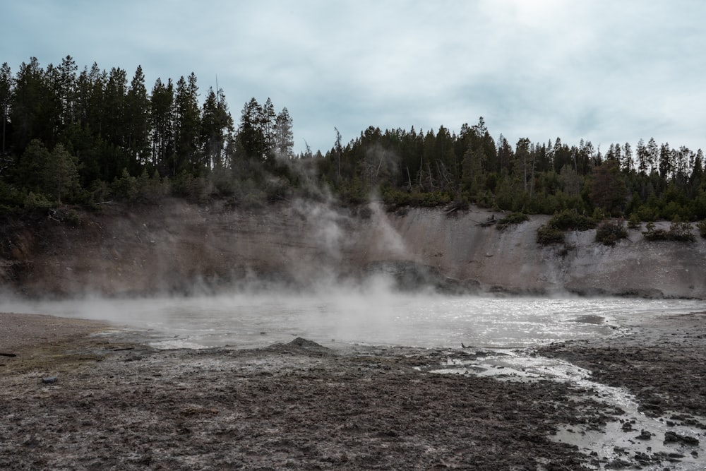 Un río con mucha agua y árboles de fondo