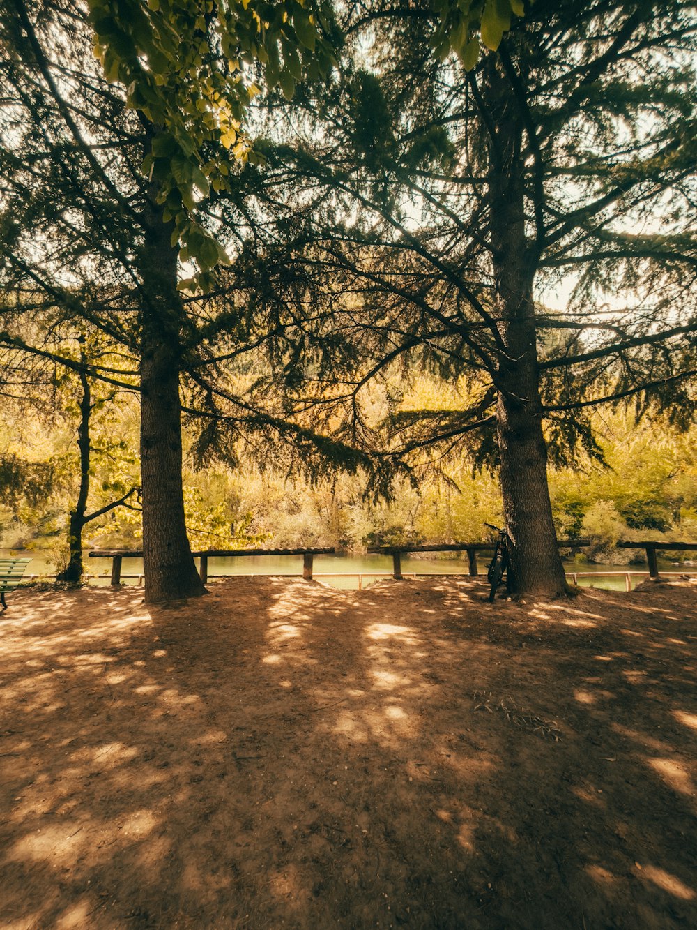 a park with benches