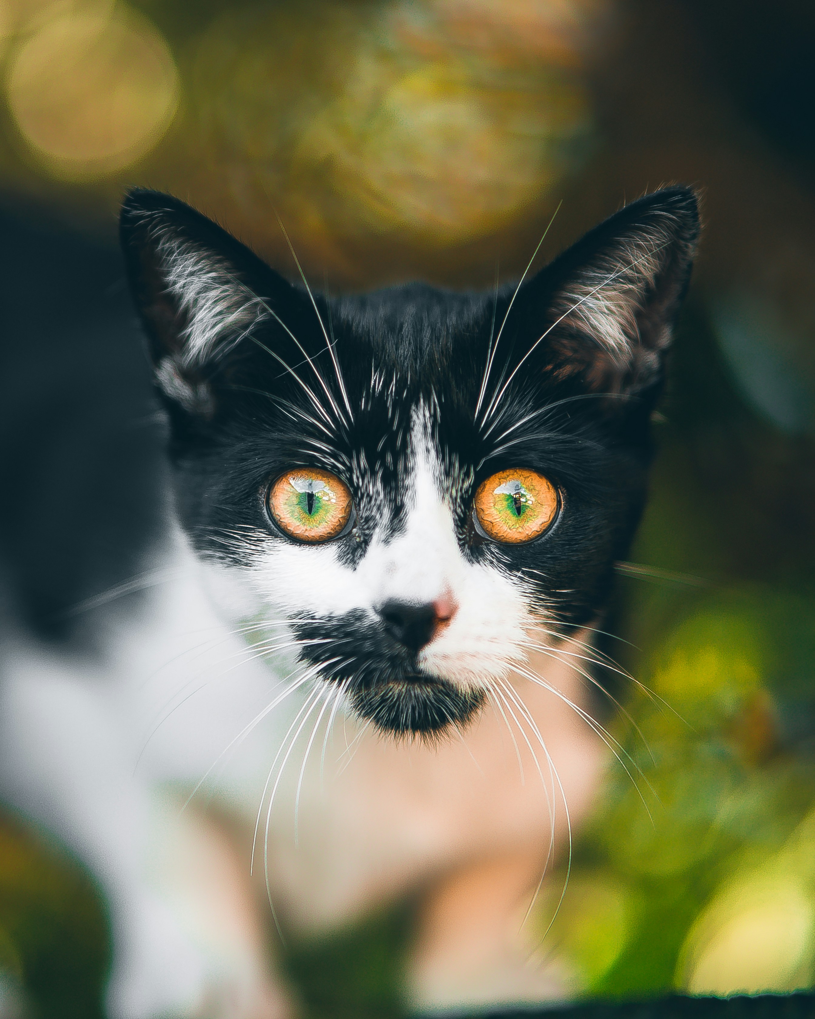 Photo by shields_mcmxcix