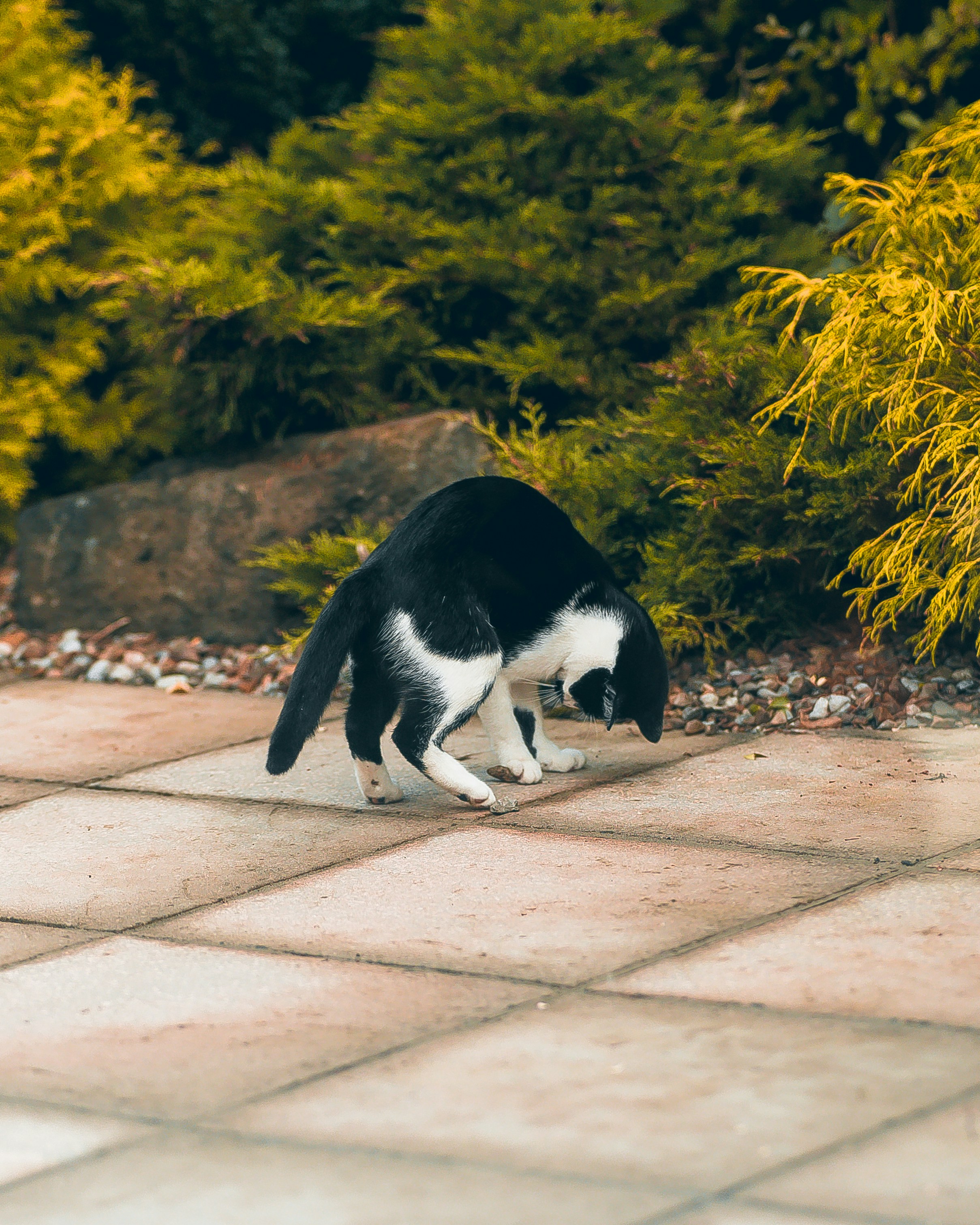 Photo by shields_mcmxcix