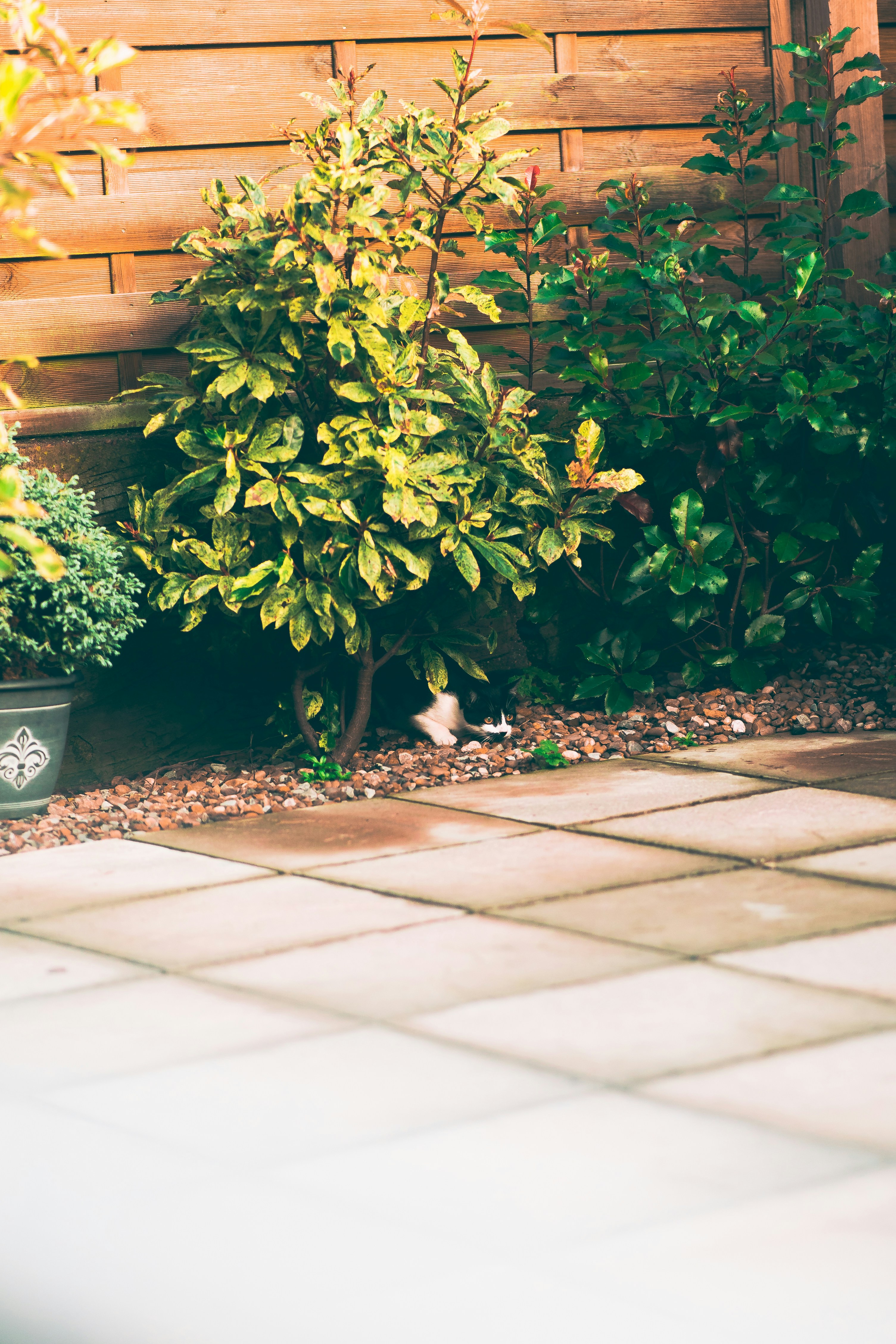 Photo by shields_mcmxcix