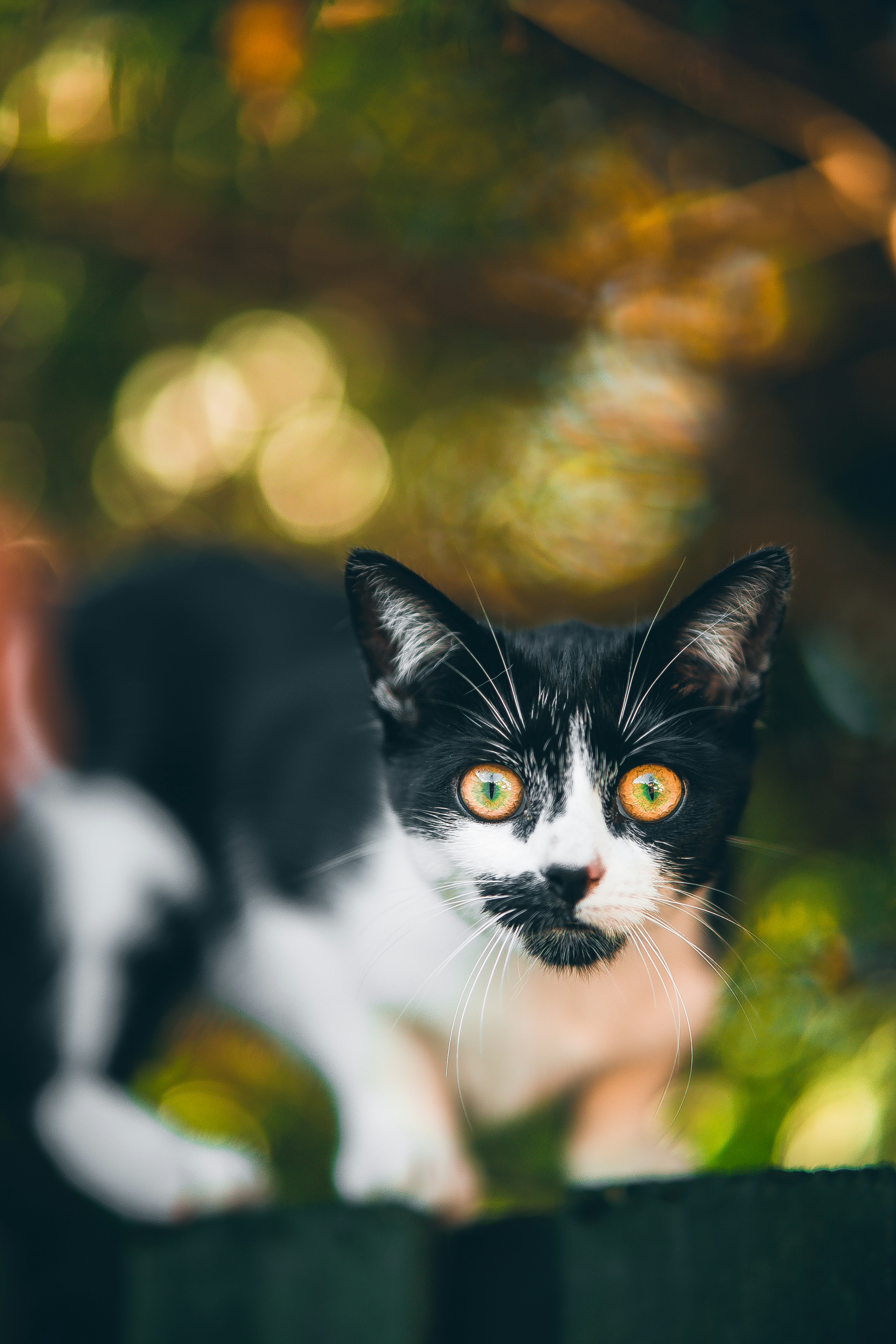 Photo by shields_mcmxcix