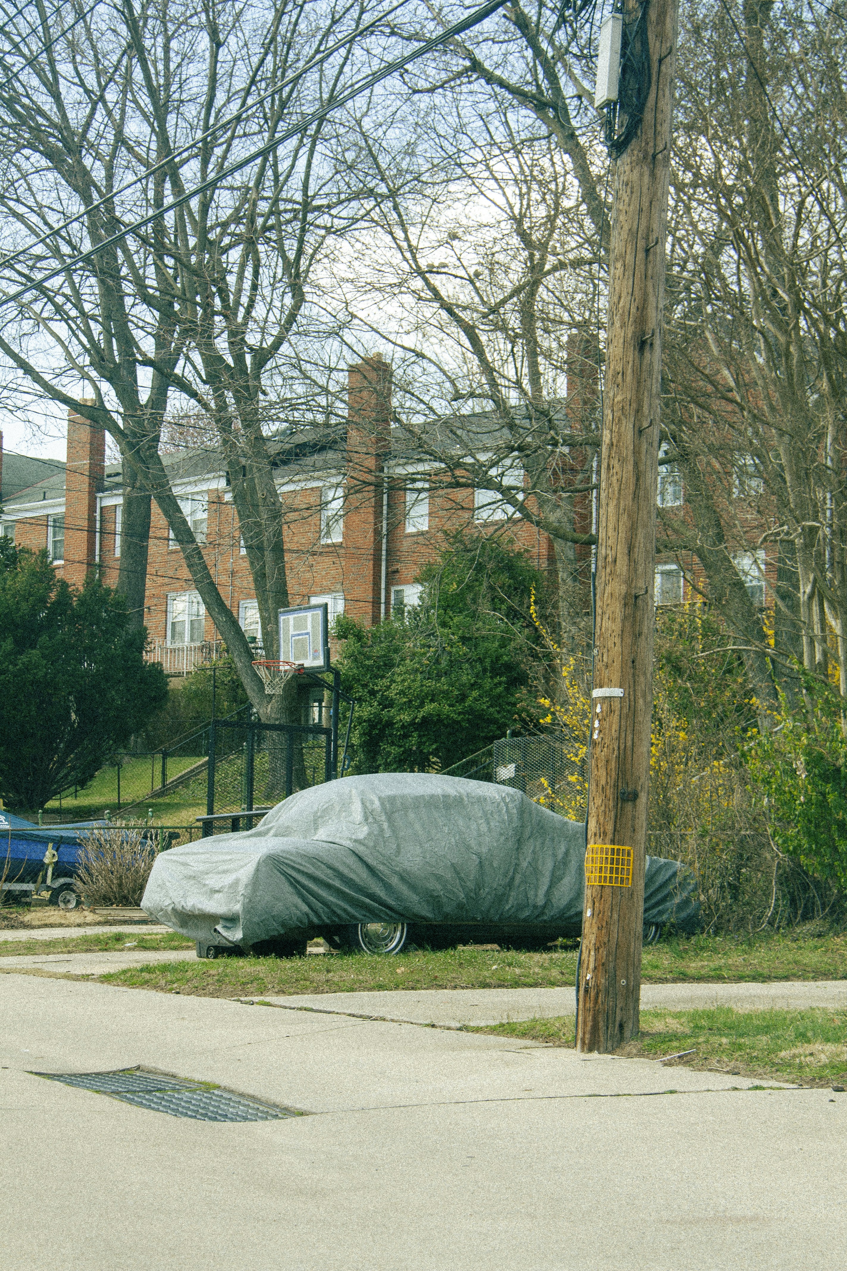 un grande telo su un palo