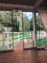 Petpoint’s outdoor garden space where pets can relax and play safely.