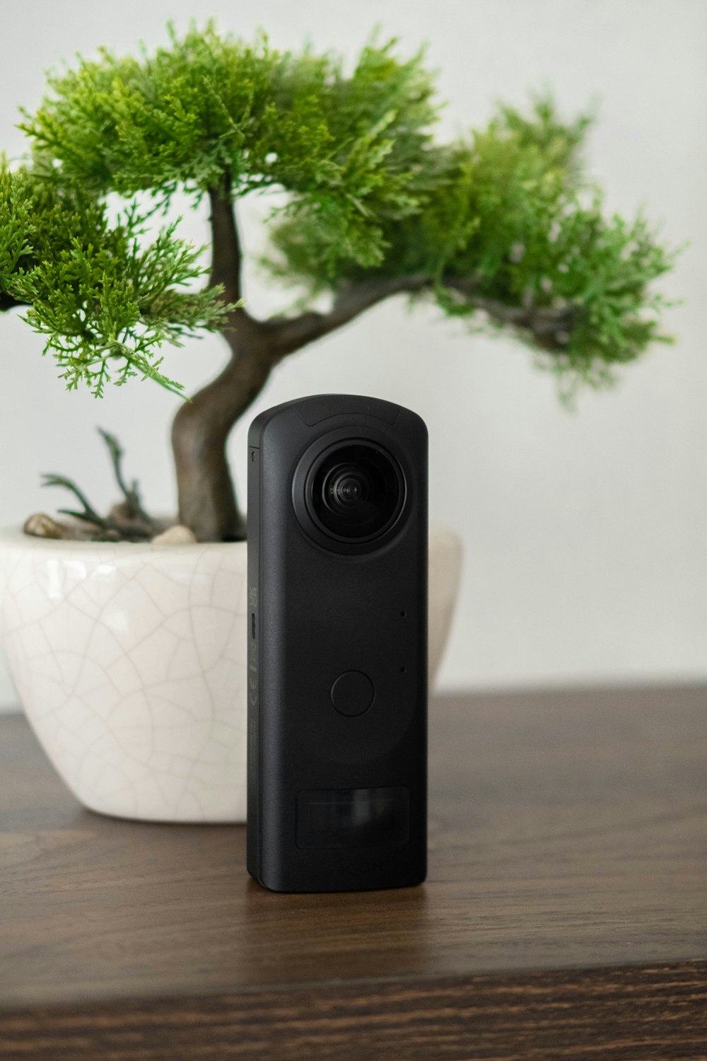 a black speaker next to a tree