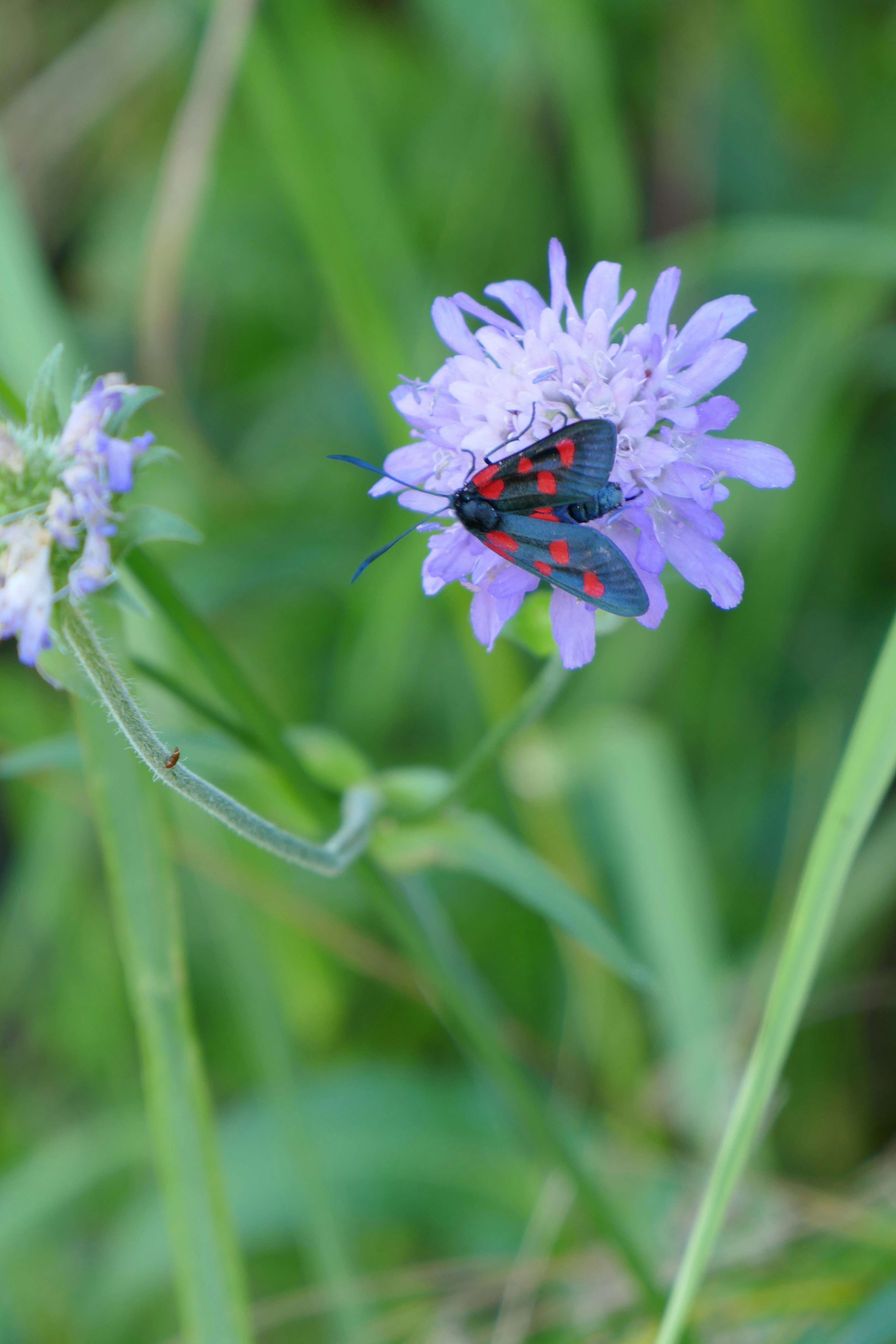 Photo by monikamanenti