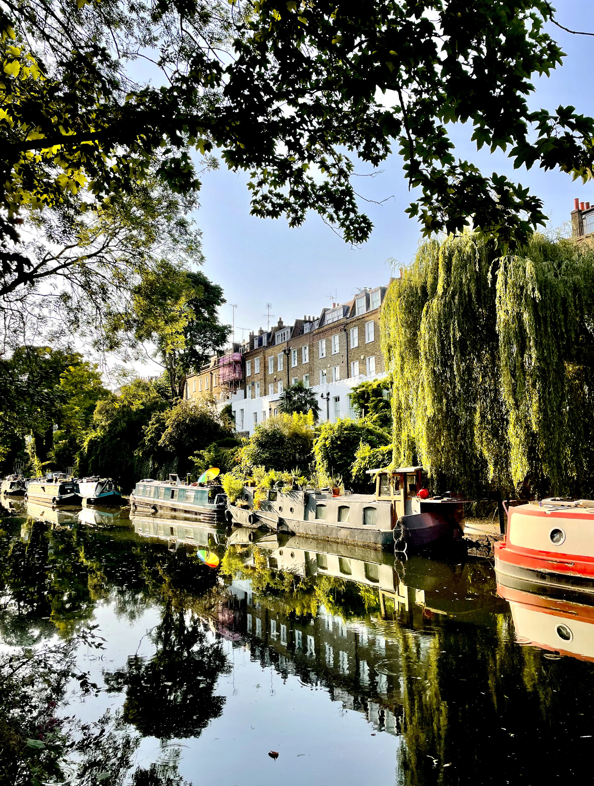 Narrowboats moored under willow trees on Regent's Canal