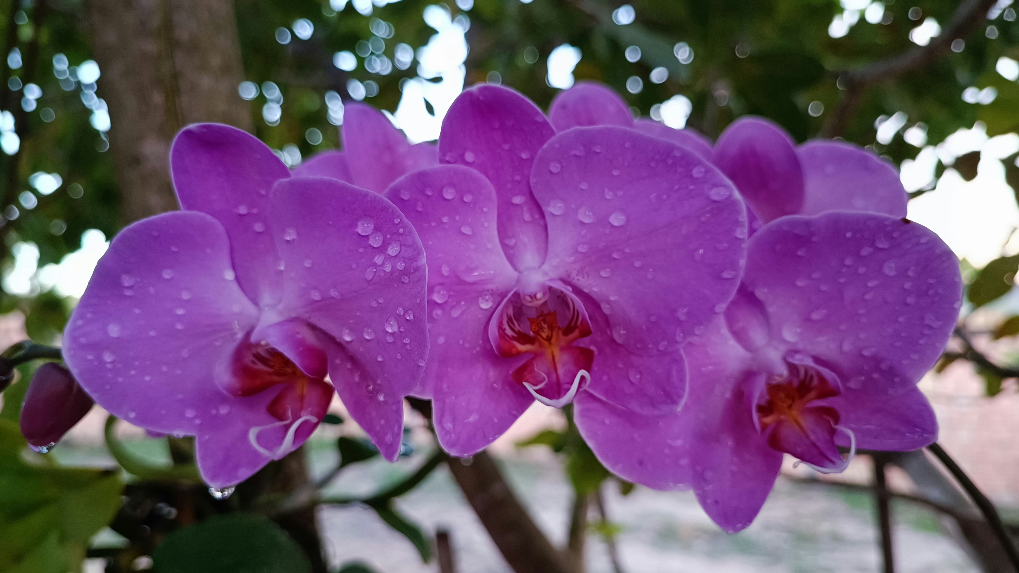 Photo by dienyportinanni