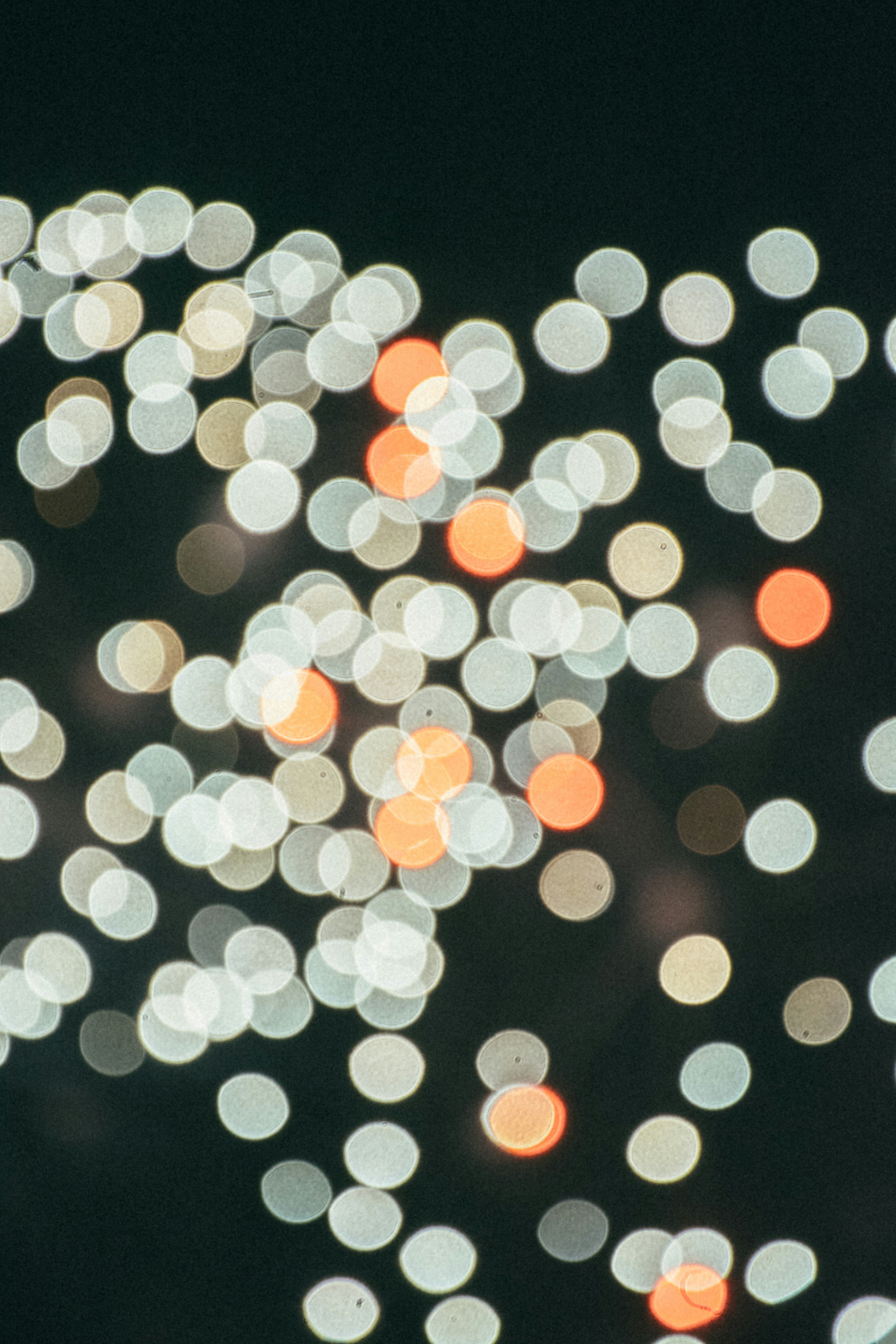 Photo by gwynbleidd62