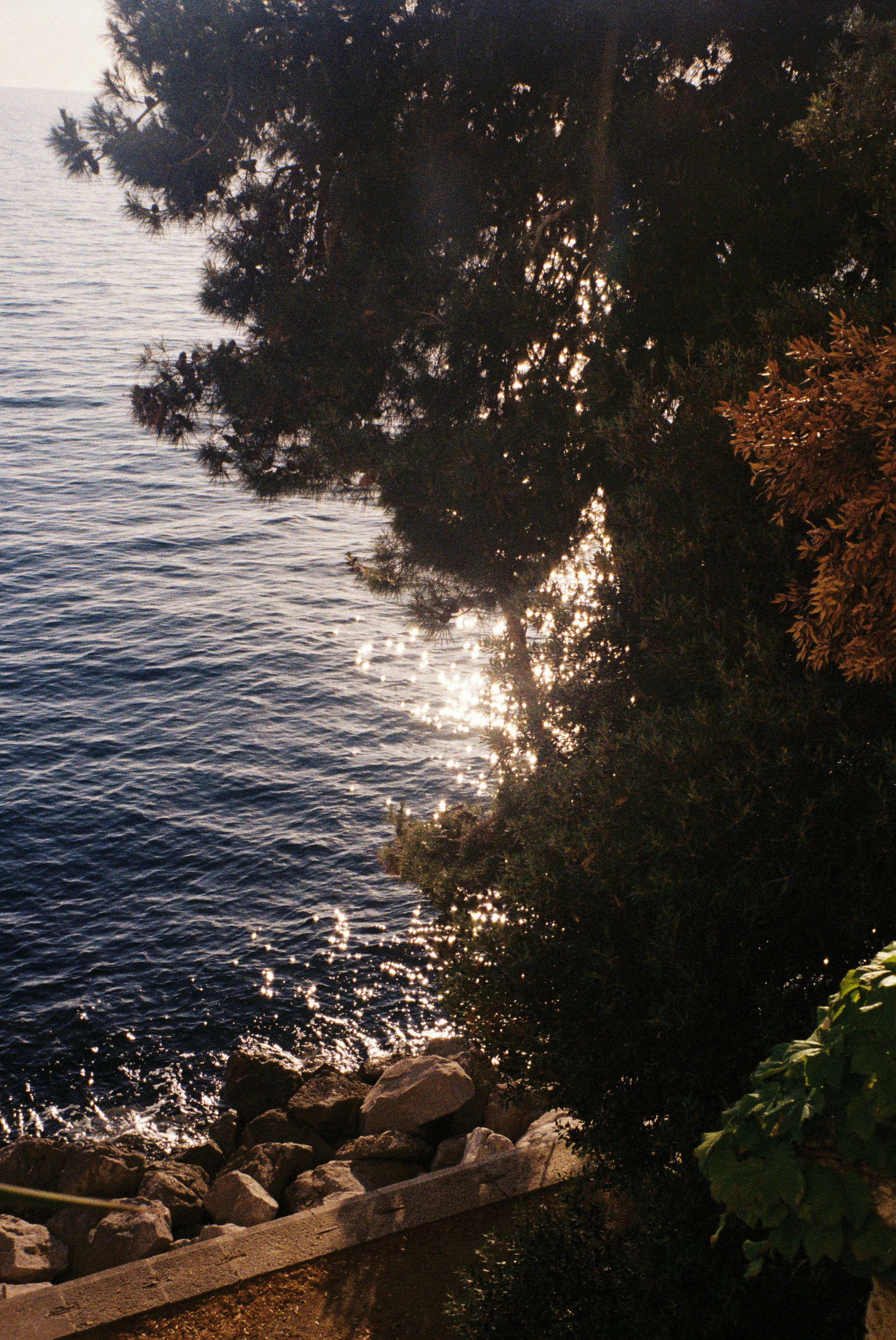Photo by varingift