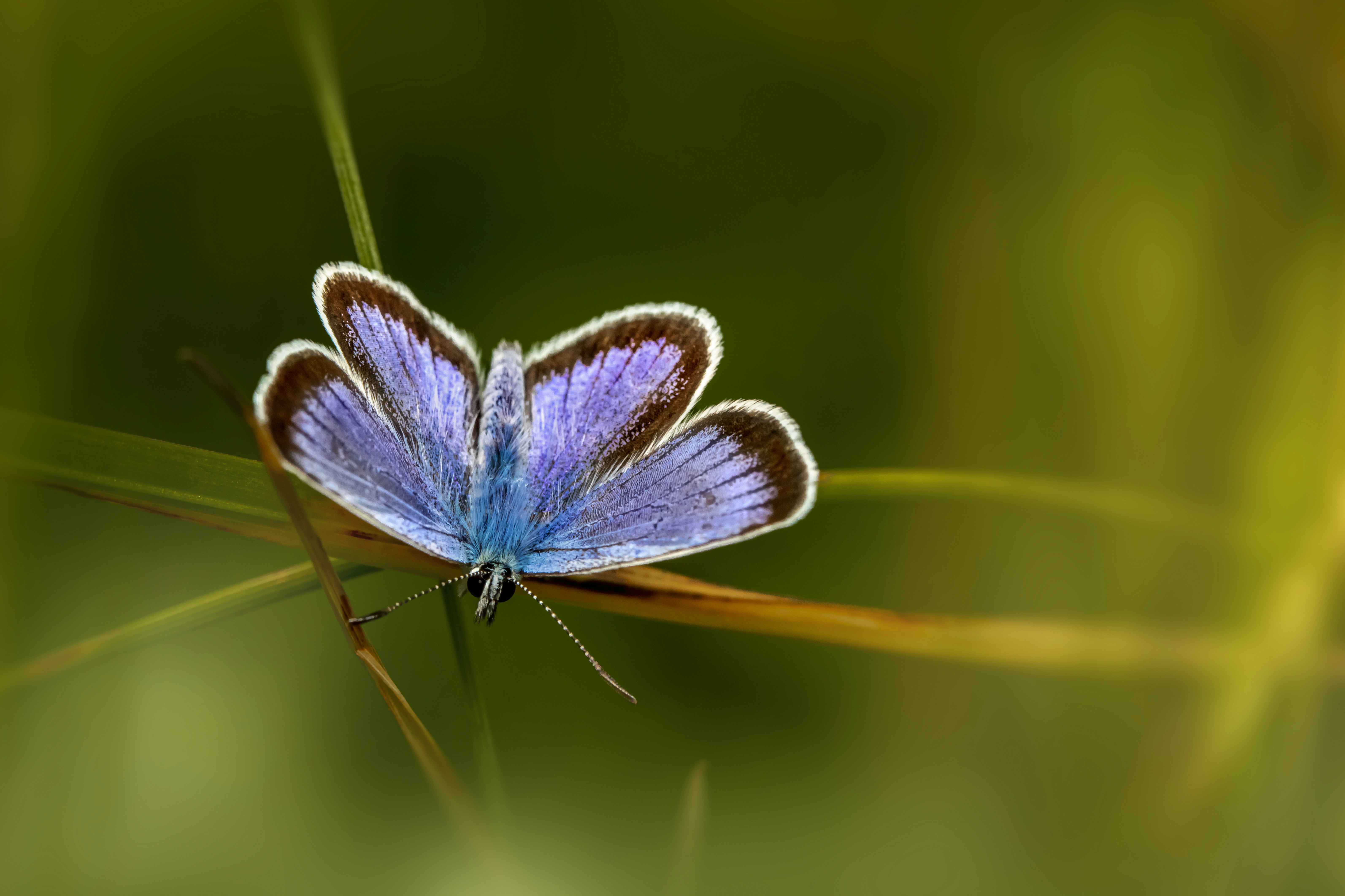 Photo by erik_karits