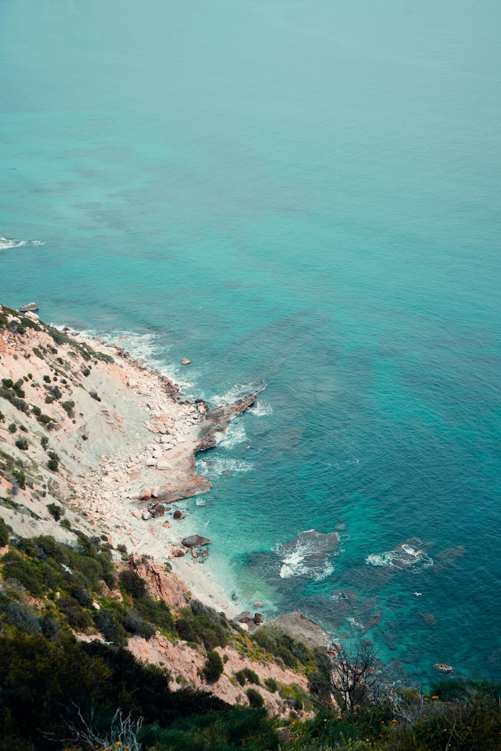 a rocky beach with trees and water