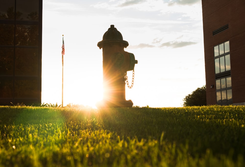 a fire hydrant in a grassy area