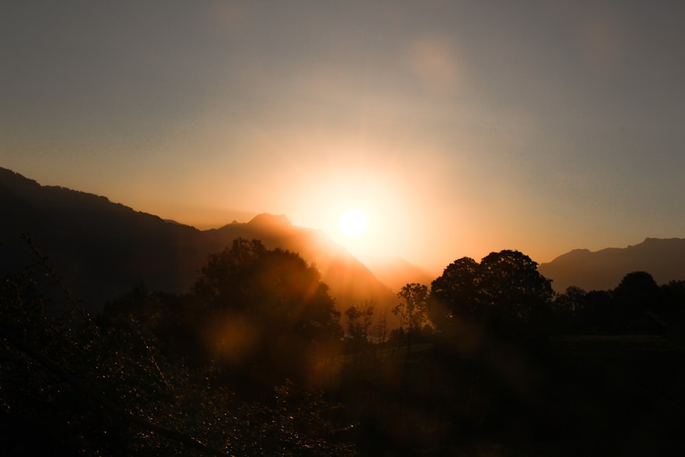 a sunset over a forest