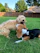 A happy family playing with their dogs in a clean, green yard on a sunny day.