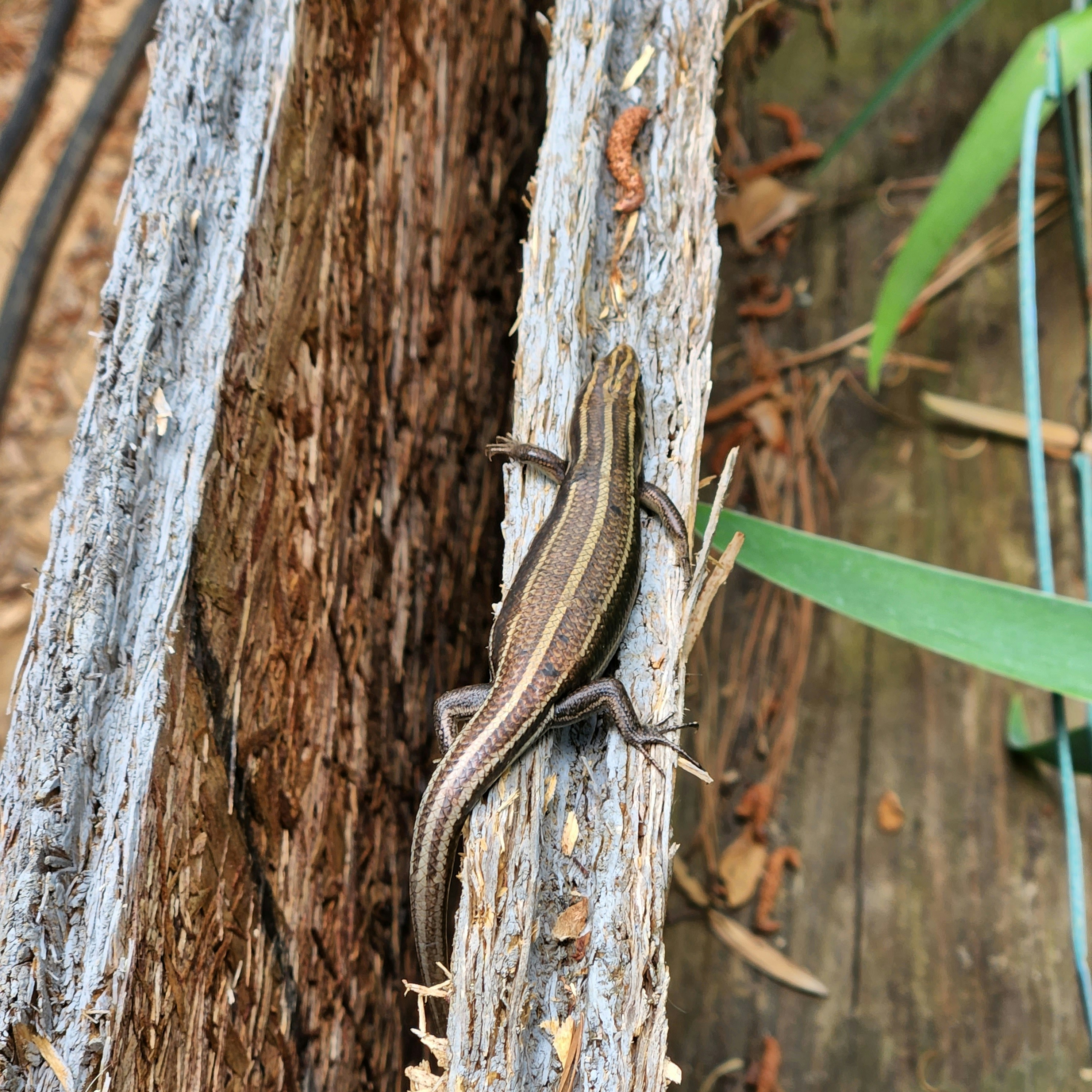 Photo by persiaalcarraza