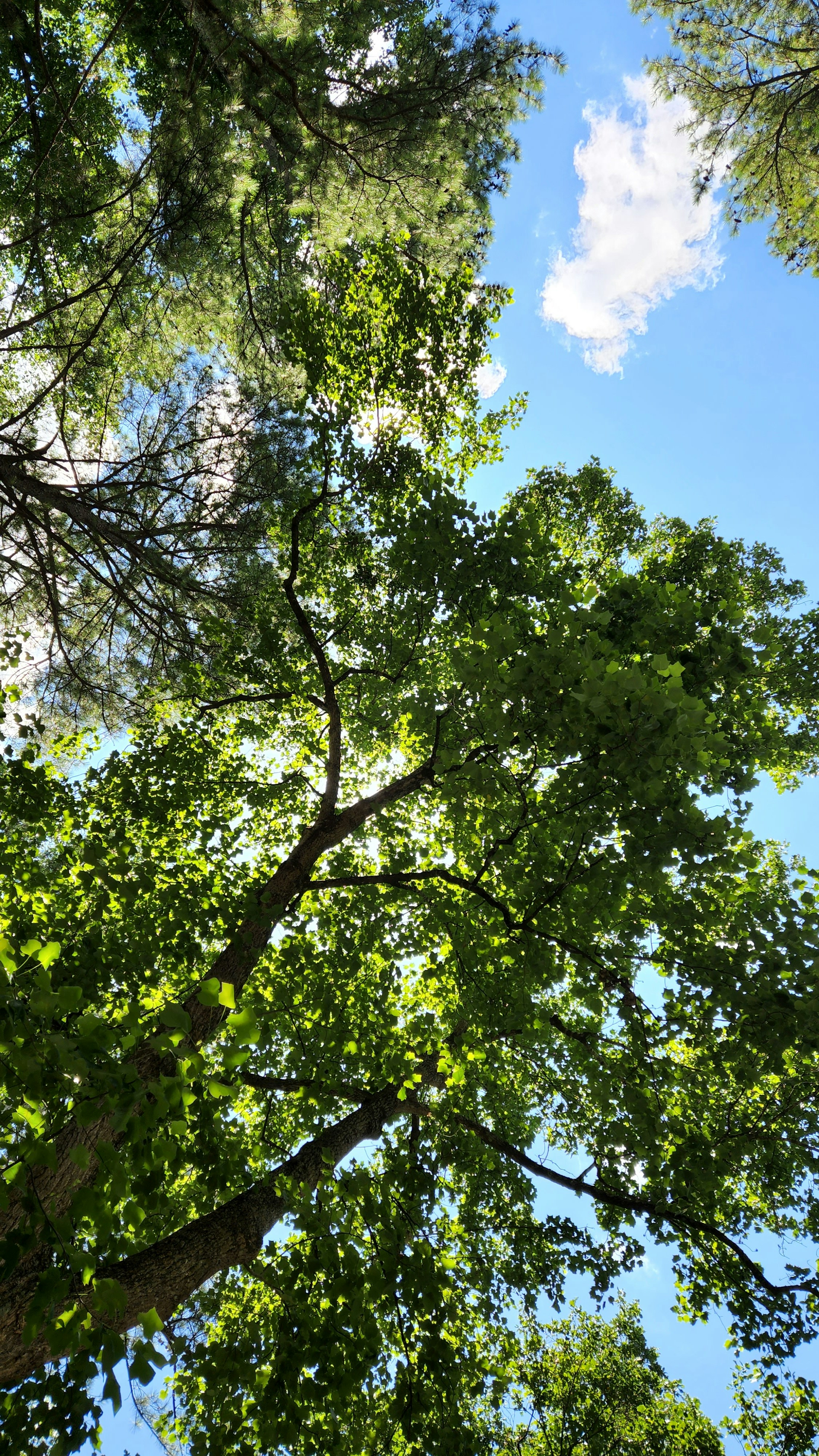 Photo by persiaalcarraza