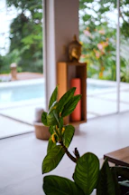 A serene yoga studio corner bathed in soft natural light with plants and calming earth tones.