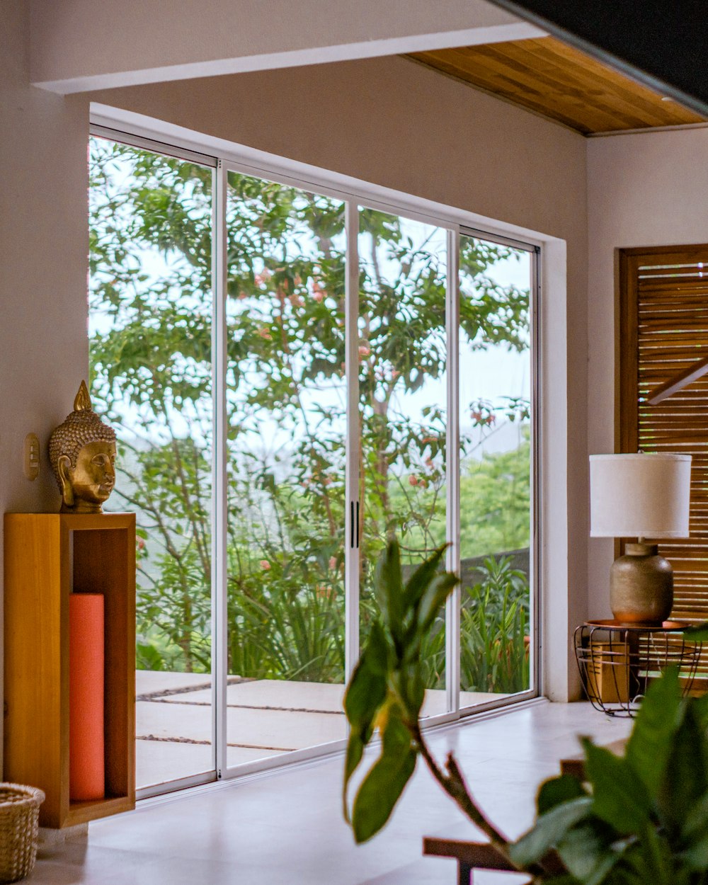 a room with a window and plants