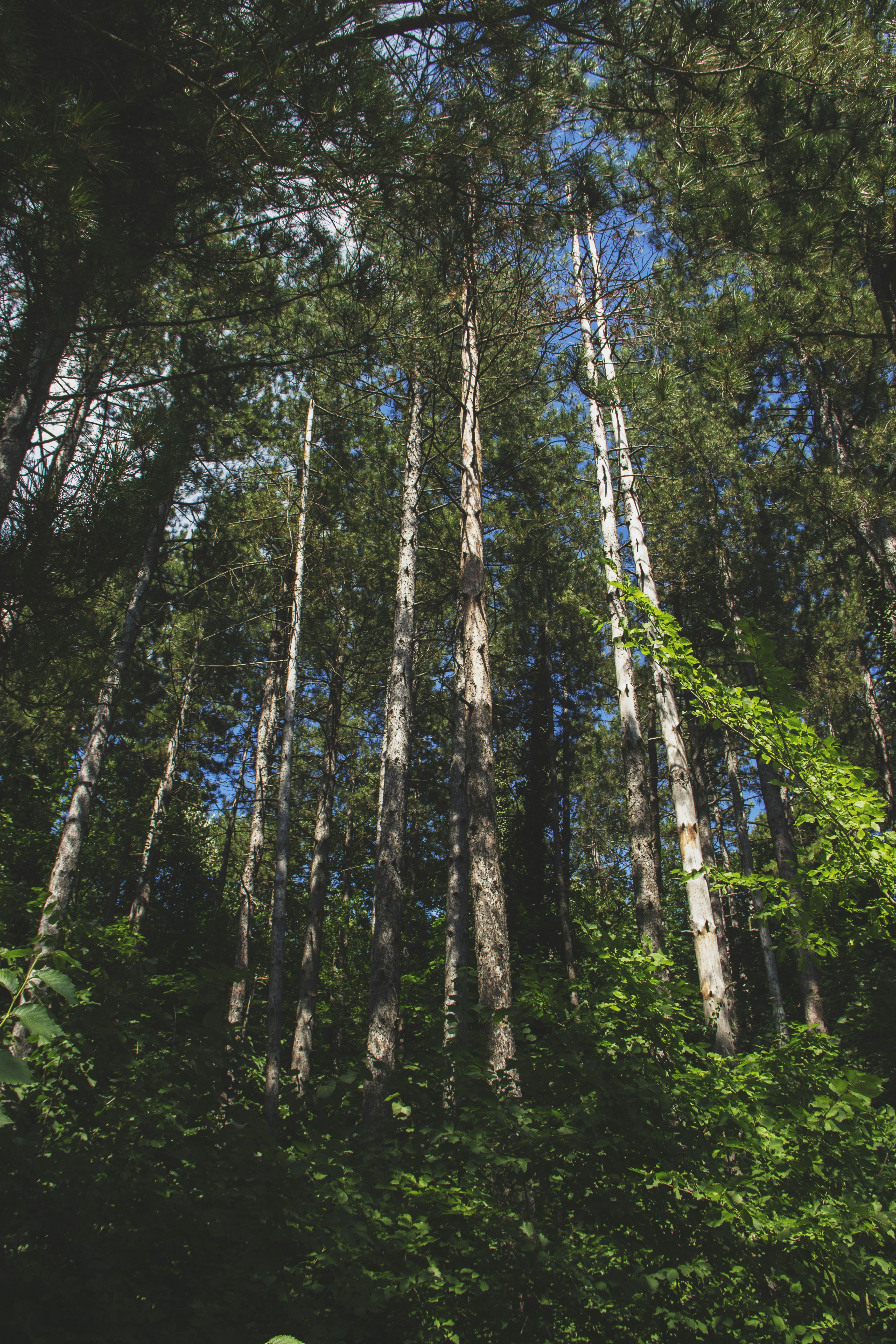 Photo by miloslopusina