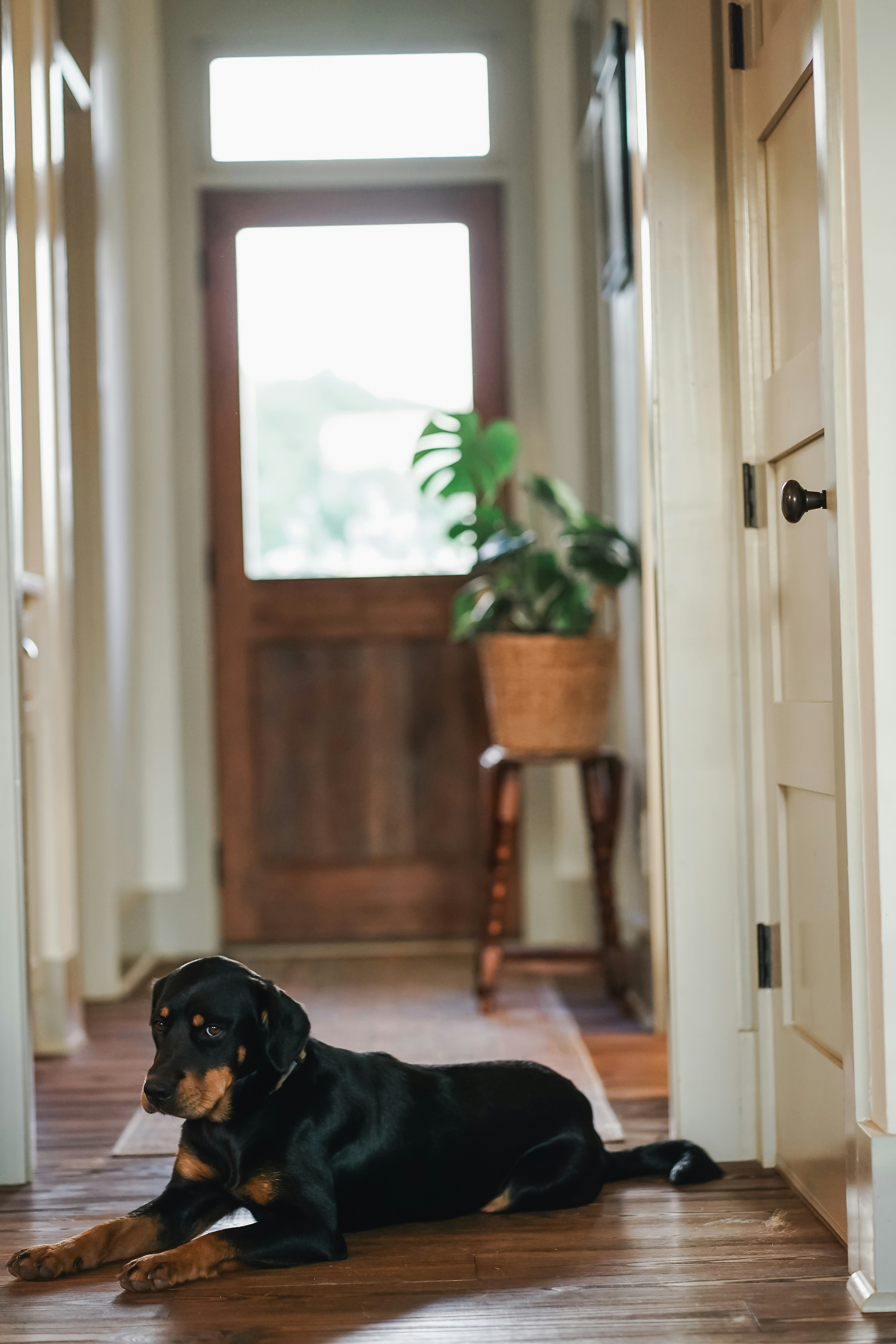 farmhouse hallway decor, wallpaper, Farmhouse Hallway Ideas: Decorating on a Low Budget 3