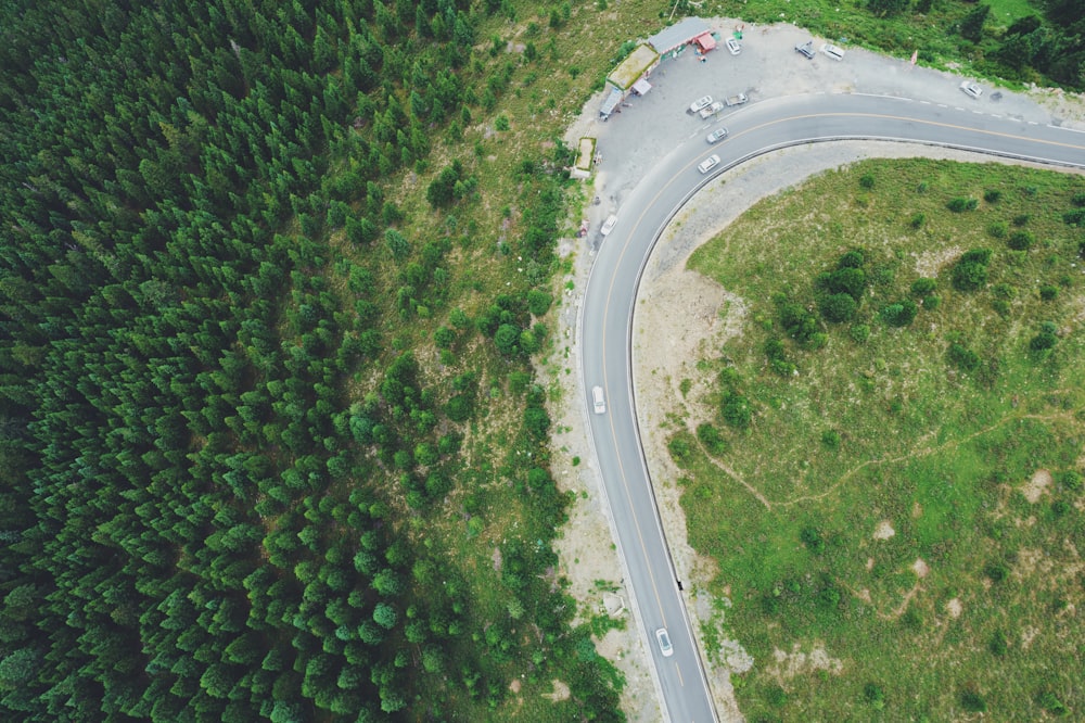 a road with grass and trees