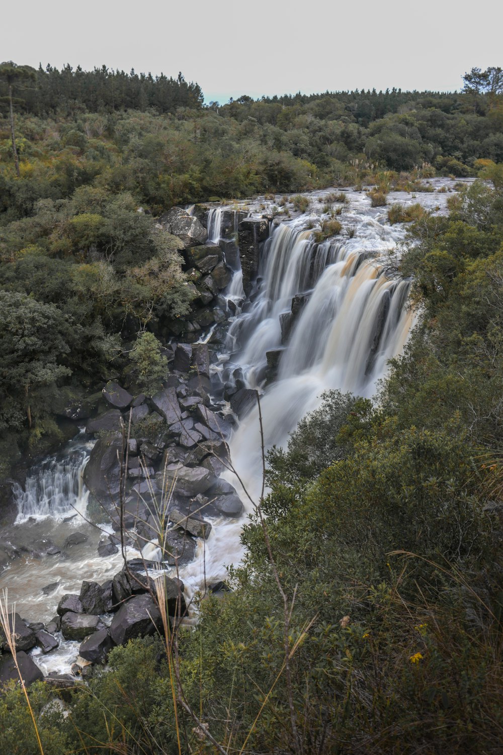 a waterfall in a forest