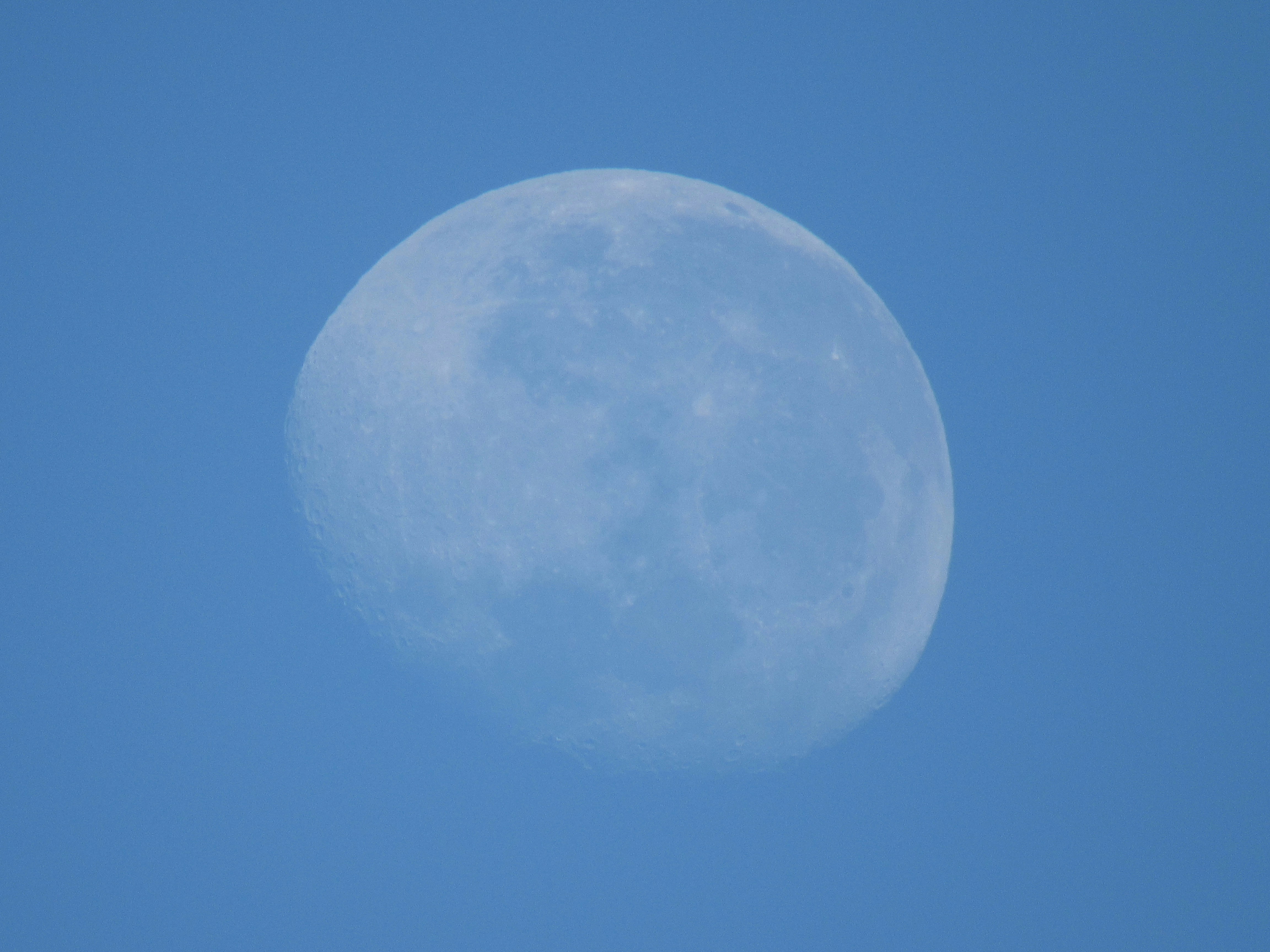 Photo by giustoluana