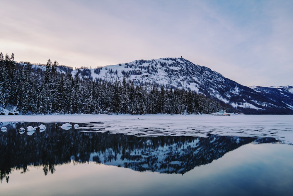 a lake with trees and mountains in the background