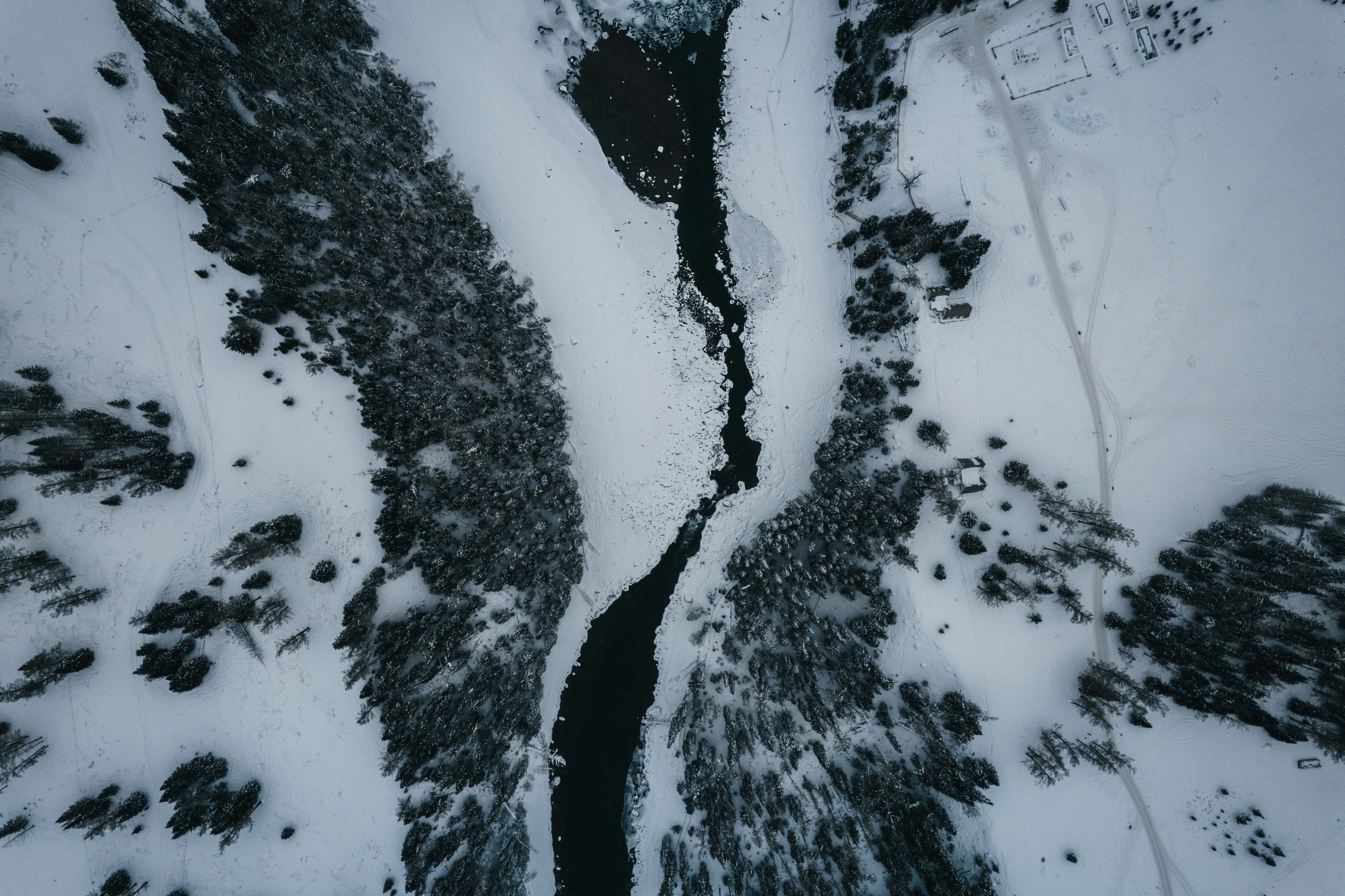 Photo by aethrum