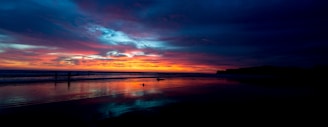 A stunning sunset over the ocean with silhouettes of whales.