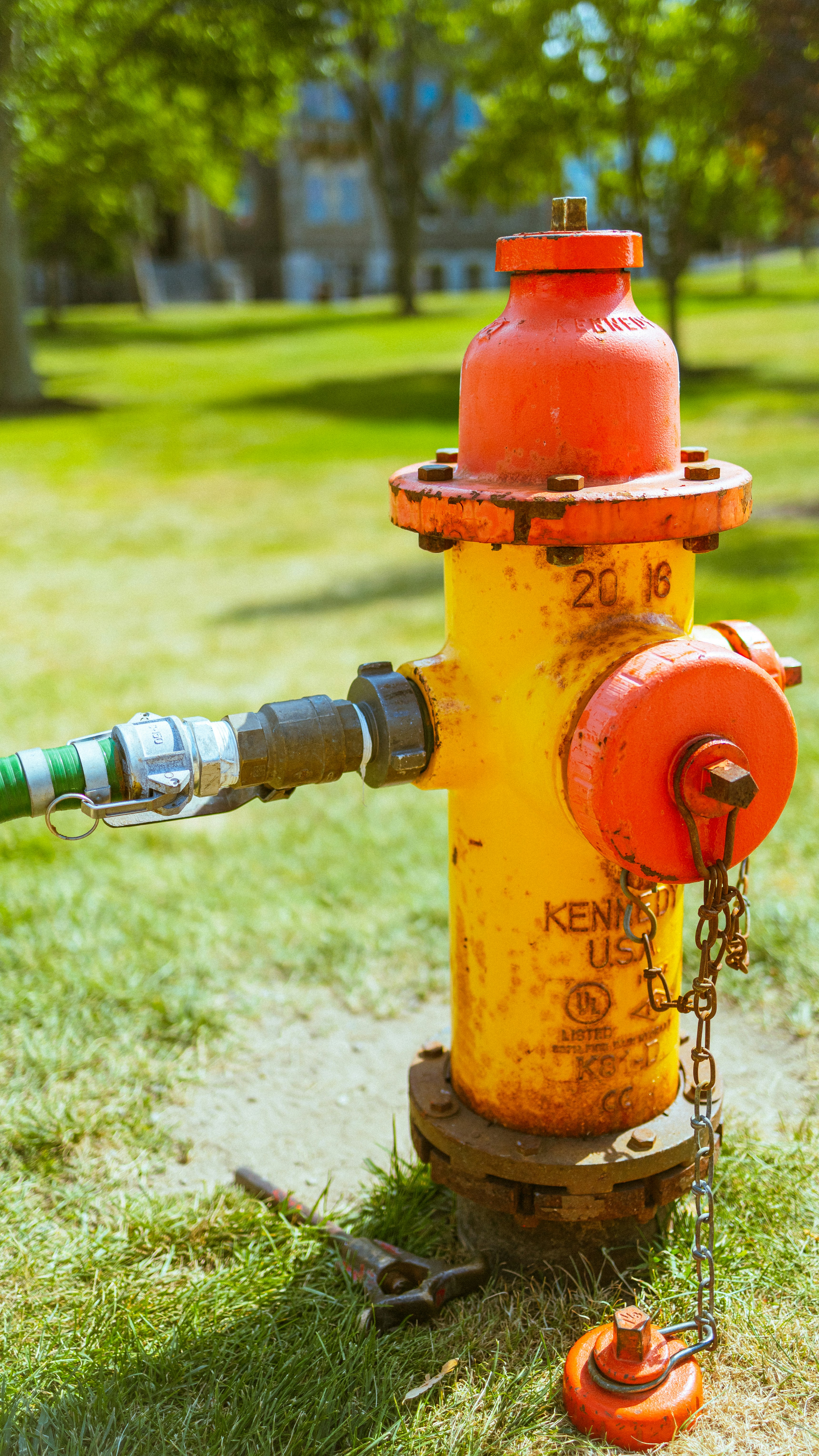 Photo by hanyangzhang