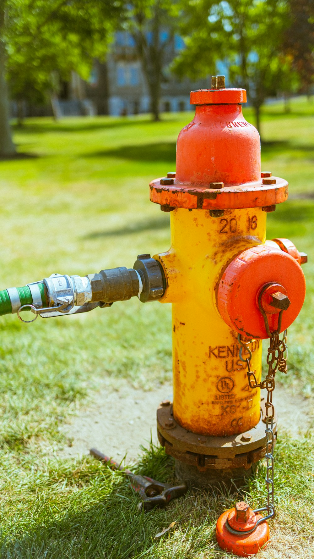 a fire hydrant is stationed in a grassy area