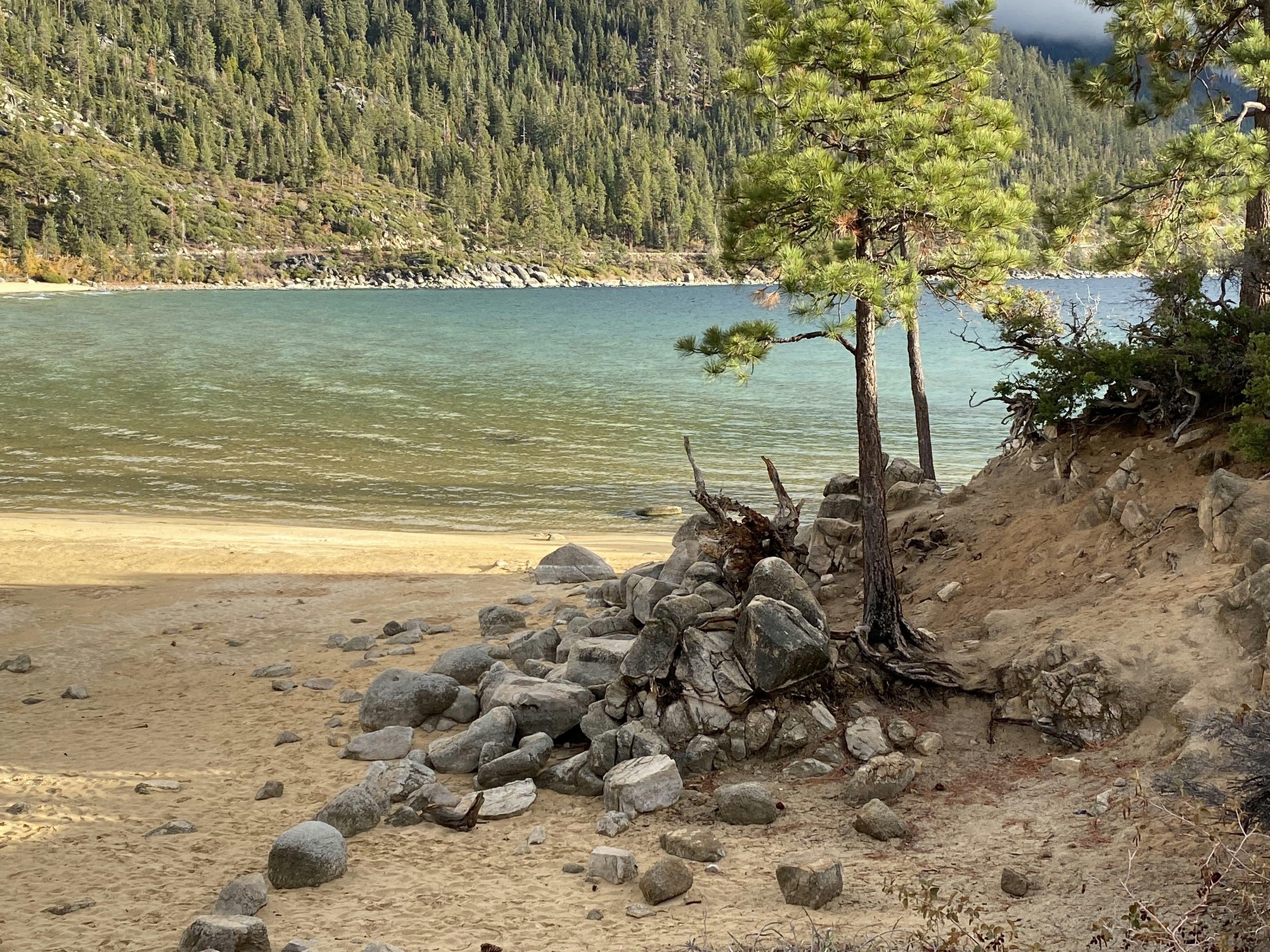 Une plage rocheuse avec un arbre