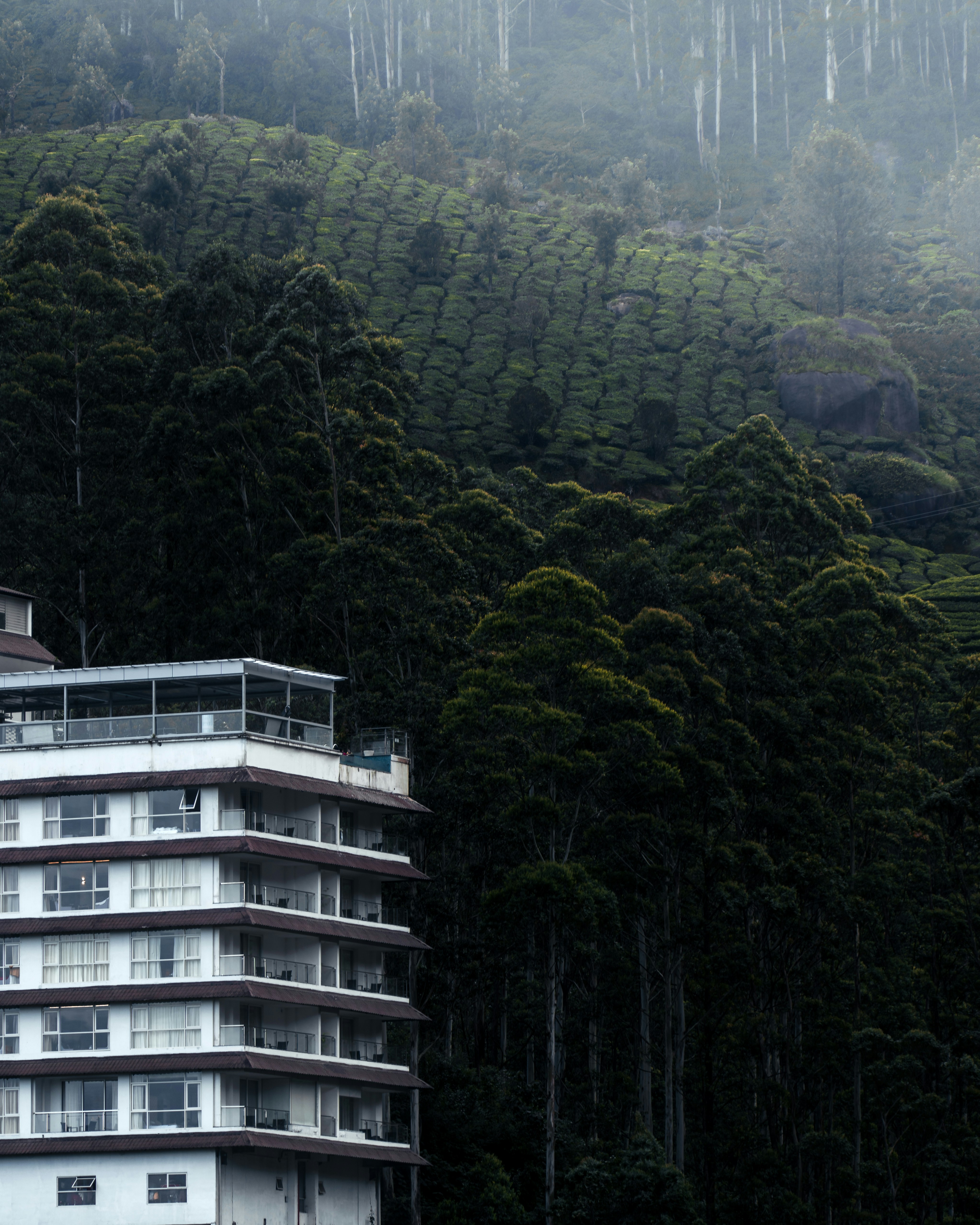 a building with trees in the back