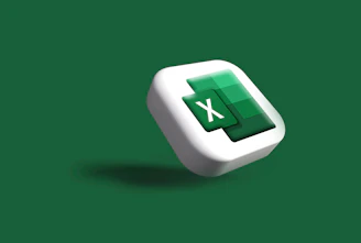 Microsoft Excel logo used to showcase Excel consultation