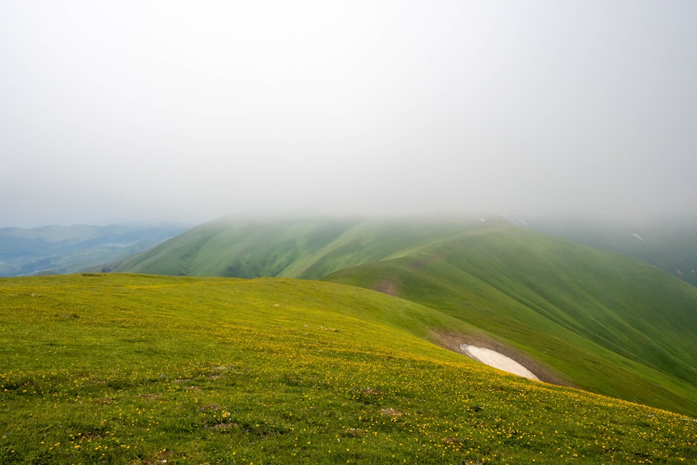 a grassy hill with a stream running through it