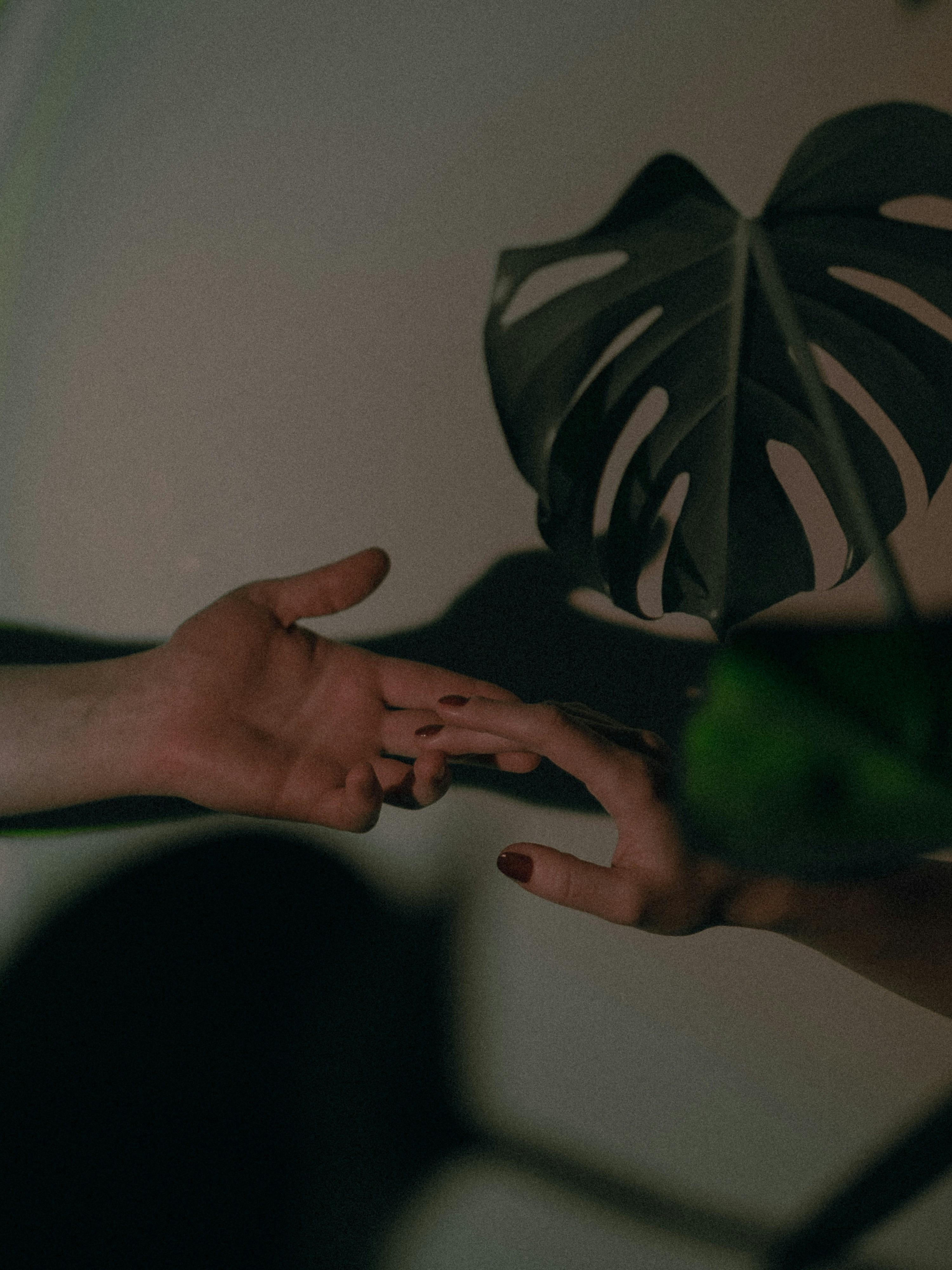 Hands nurturing a growing plant — a symbol of community care.