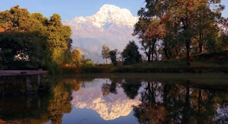 a lake with trees and a mountain in the background
