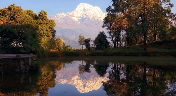 a lake with trees and a mountain in the background